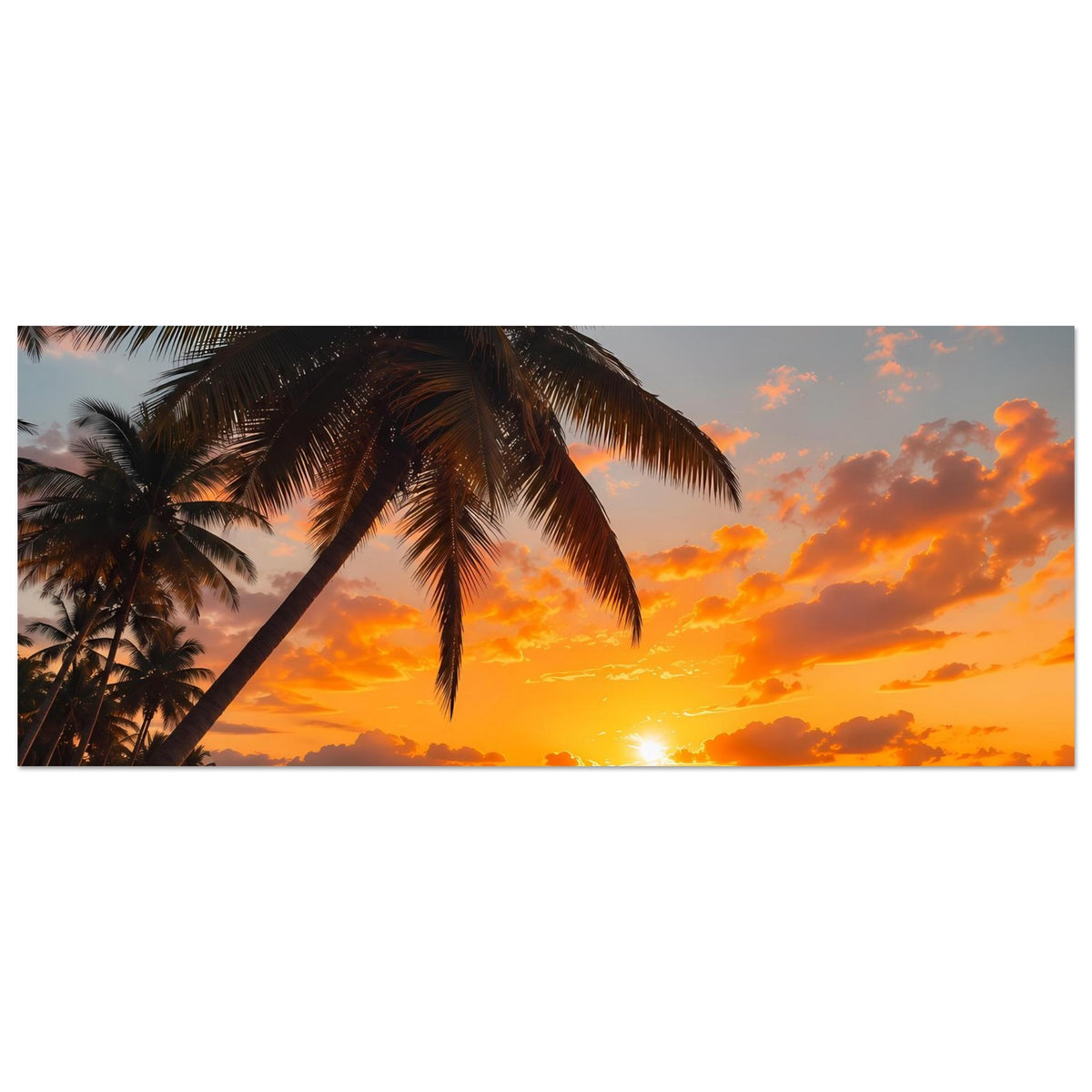 Breiter Poster-Ausschnitt mit Palme und orangegelbem Himmel über dem Meer