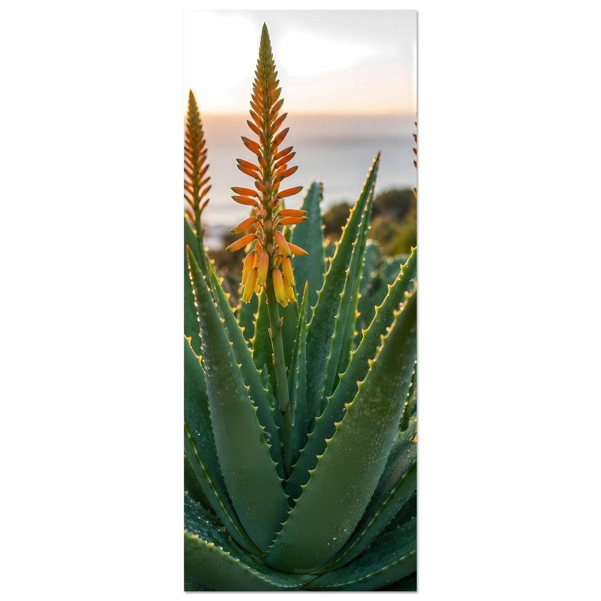 Vertikales Poster mit Aloe-Vera-Pflanze und orangefarbenen Blüten