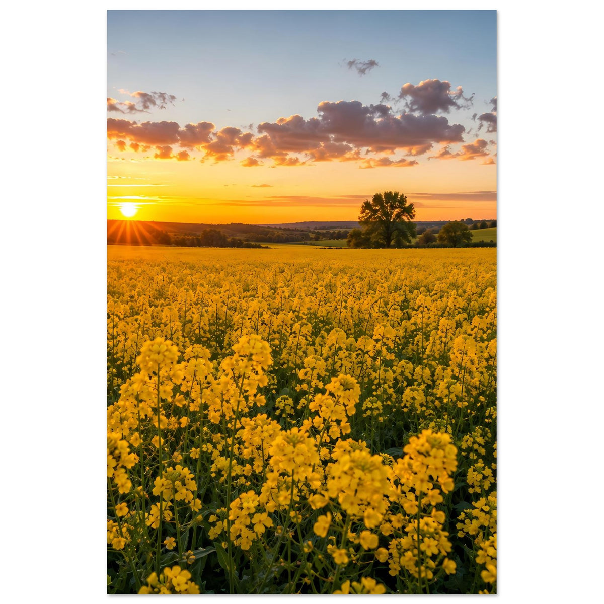 Vertikales Landschaftsposter mit gelben Blütenfeldern, goldener Sonne und weiten Hügeln