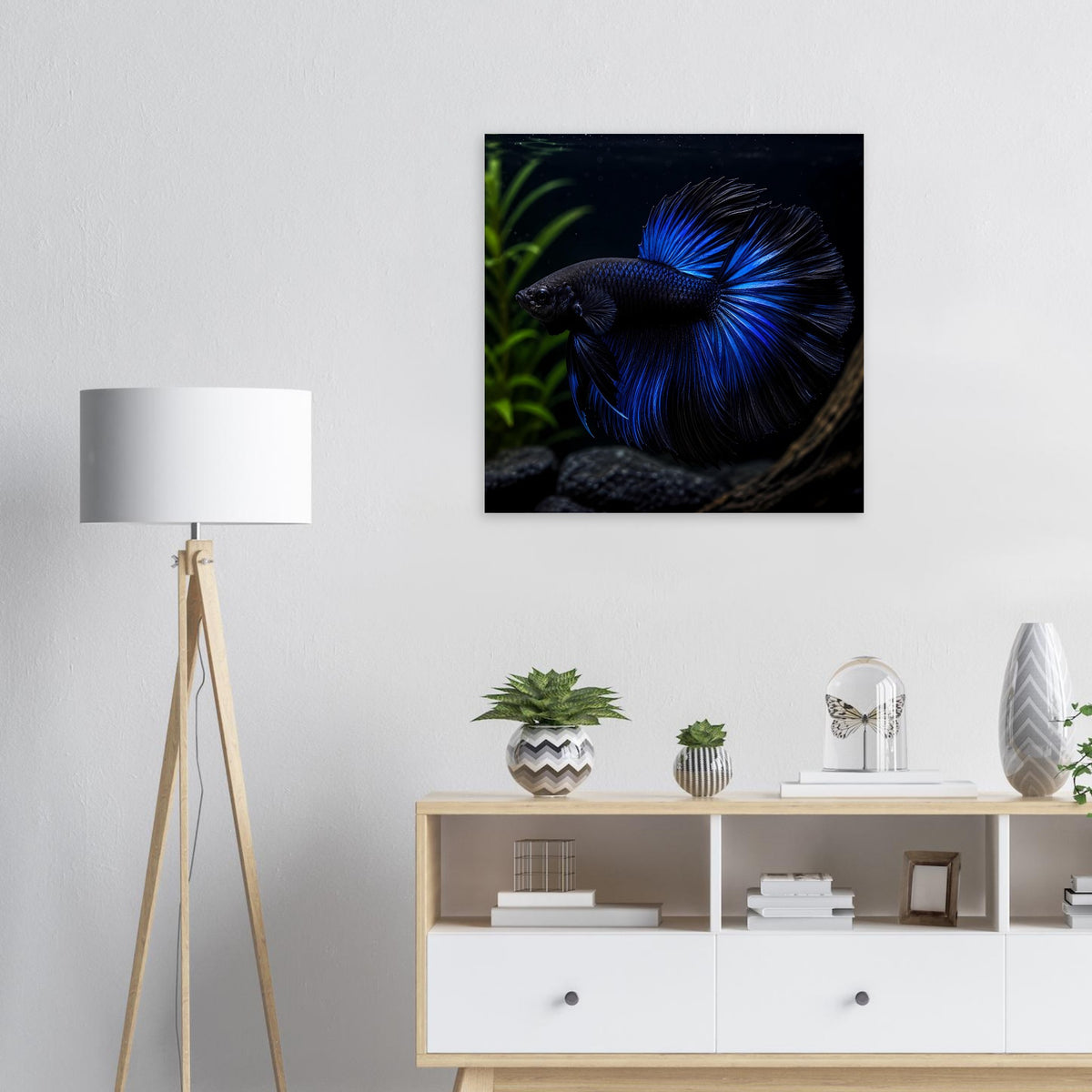 Quadratisches Poster mit blauem Kampffisch im Wasser, in schwarzem Rahmen