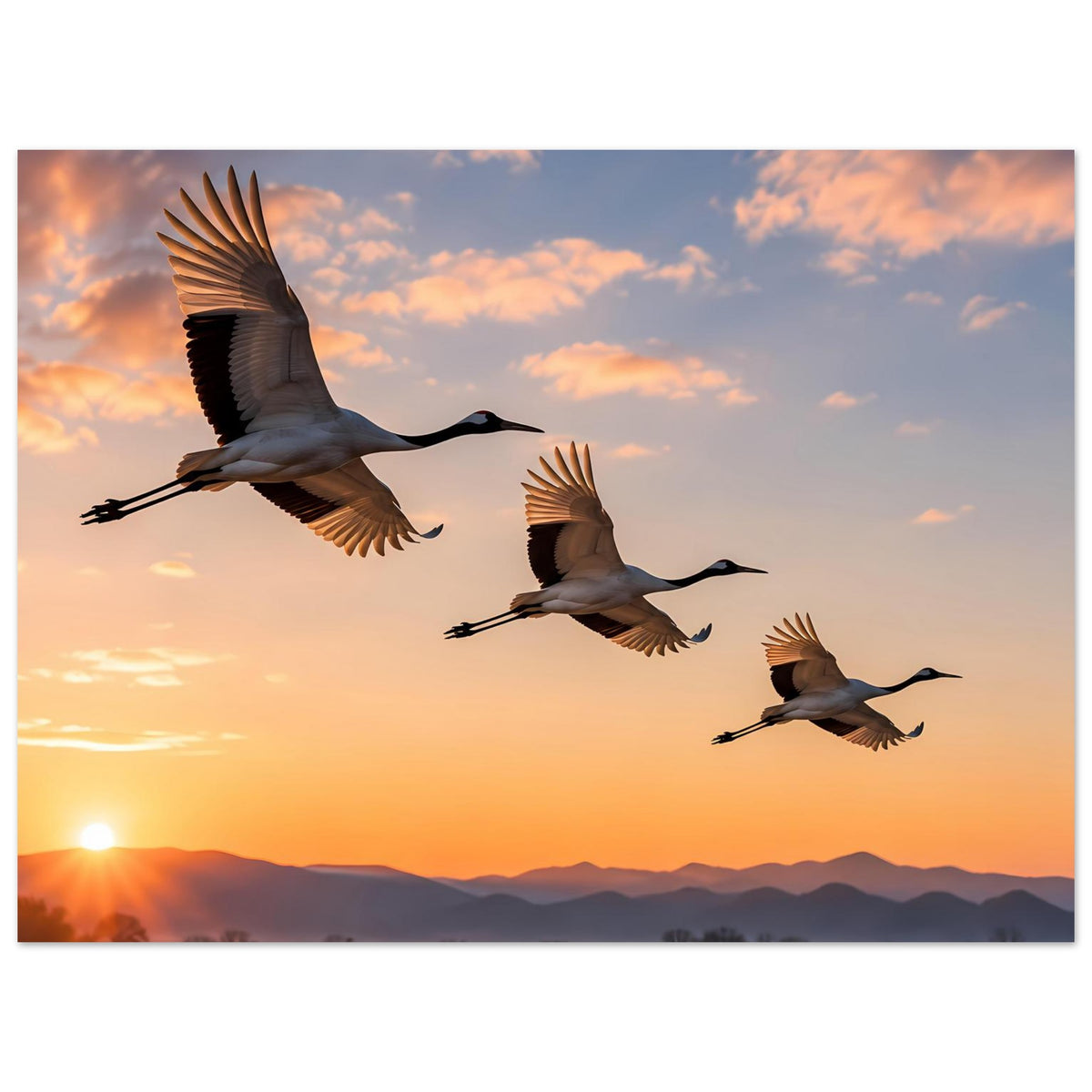 Poster mit drei fliegenden Kranichen im Sonnenuntergang, großflächig