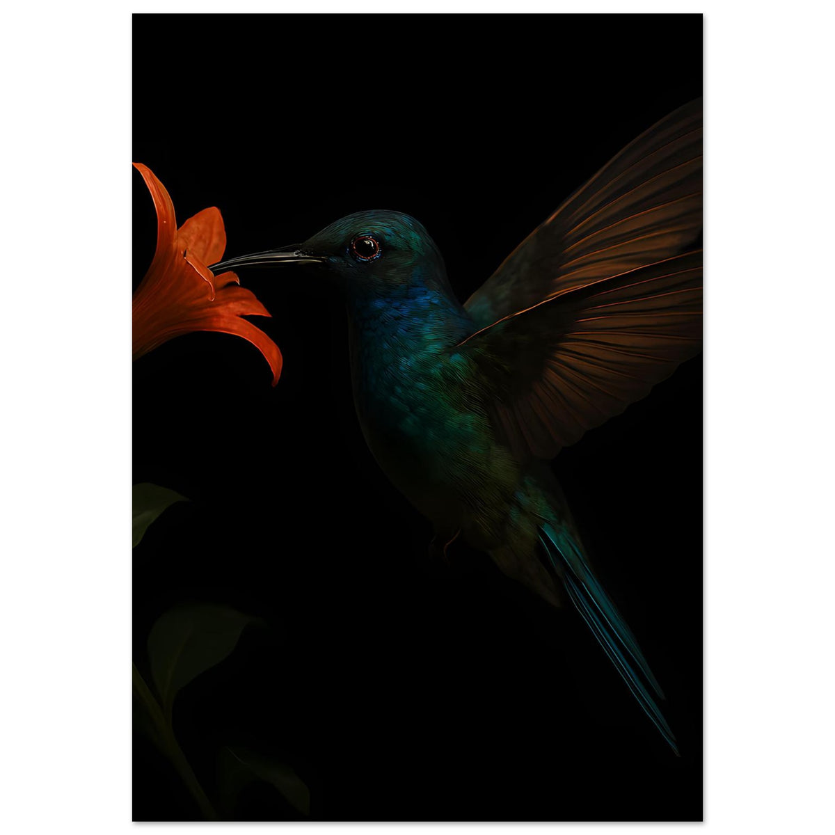 Kunstdruck: Kolibri in Petrol mit orangefarbener Blüte, Flügel sichtbar, dunkler Hintergrund