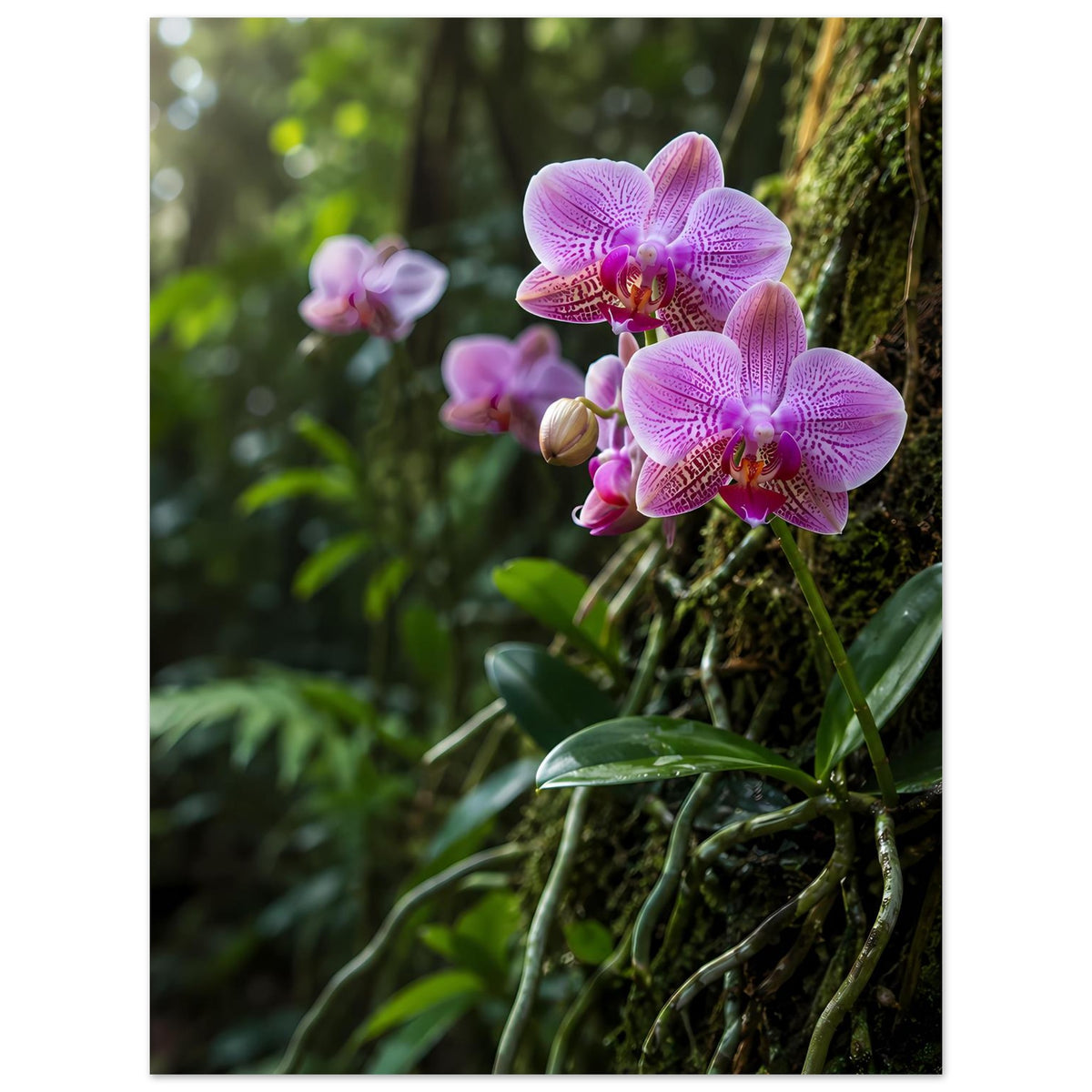 Botanisches Orchideen-Poster mit violetten Orchideenblüten und grünen Blättern, Hochformat