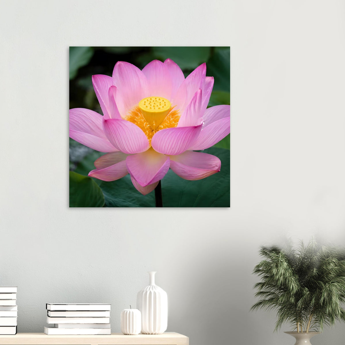 Quadratisches Poster mit rosa Lotusblüte und gelbem Blütenkern auf dunkelgrünem Hintergrund