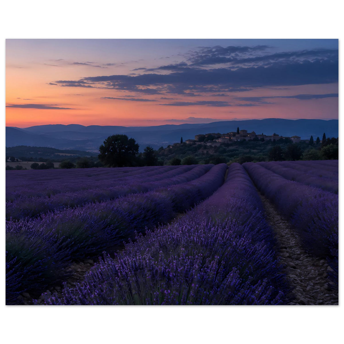 Landschafts-Poster mit violetten Lavendelreihen und blau-orangefarbenem Sonnenuntergang