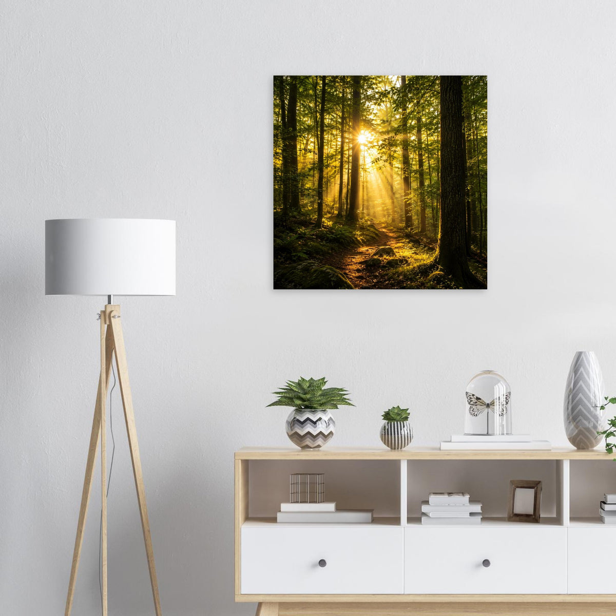 Quadratisches Poster: Waldweg im Morgenlicht zwischen hohen Bäumen, schwarzer Rand.