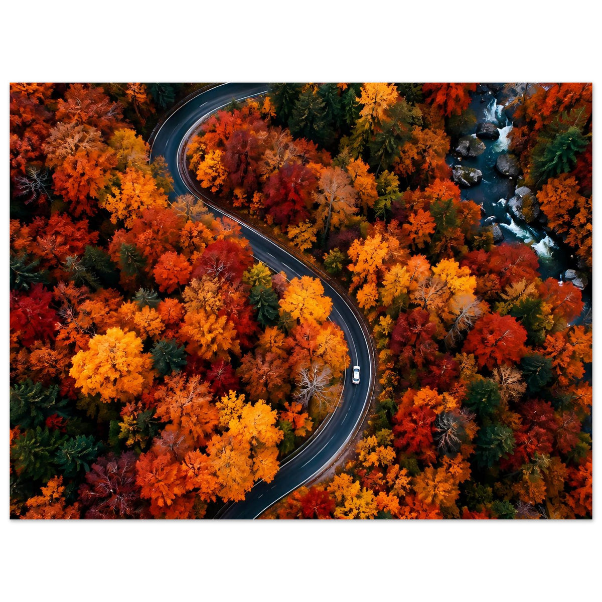 Querformat-Poster mit gewundener Straße und farbenfrohen Laubbäumen im Herbst