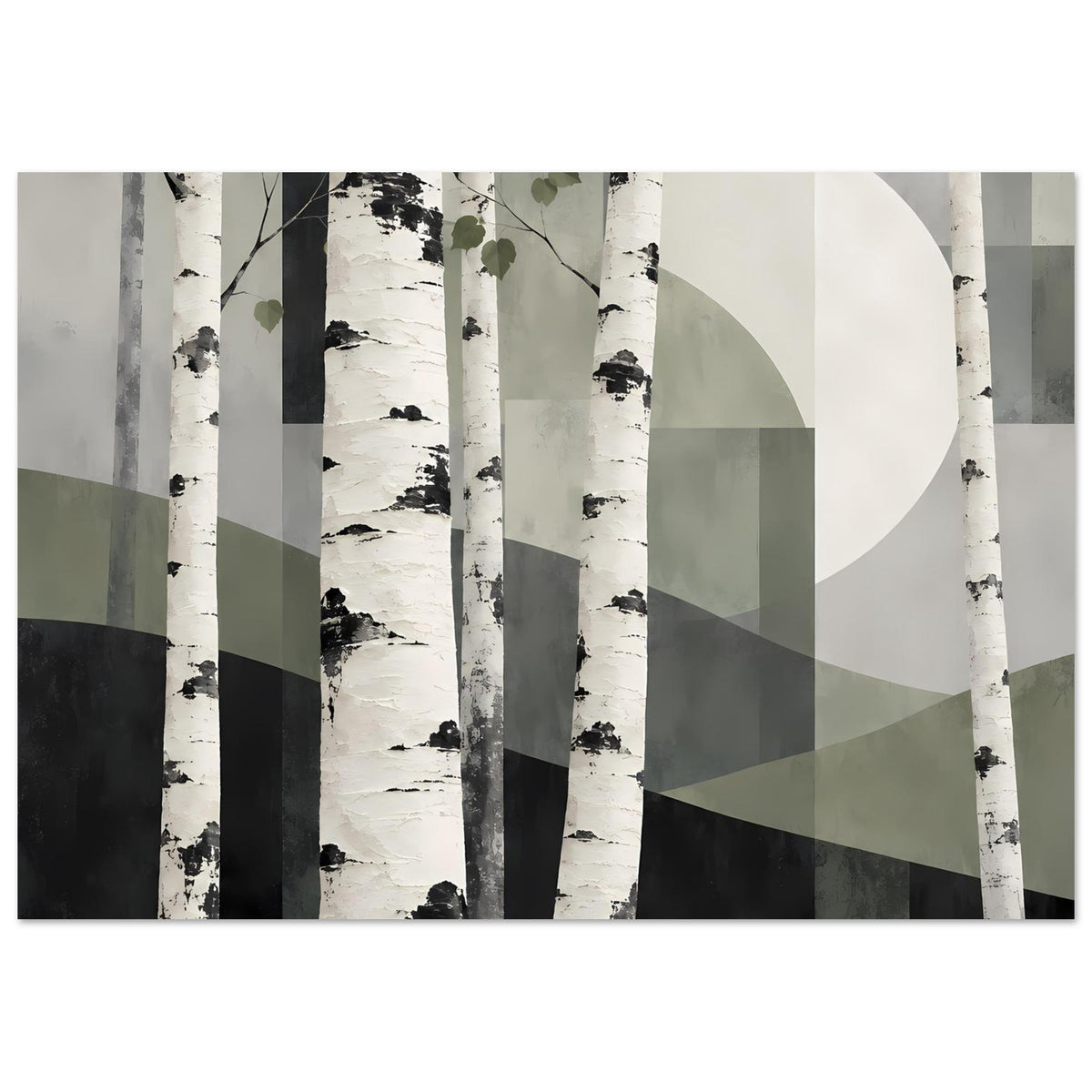 Naturposter Birkenwald-Motiv, große Kreisform rechts, gedeckte Grautöne und Olivgrün