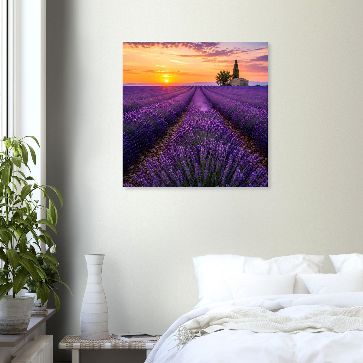 Quadratisches Poster mit Lavendelstreifen, Sonnenuntergangssonne und Kirchturm in der Ferne