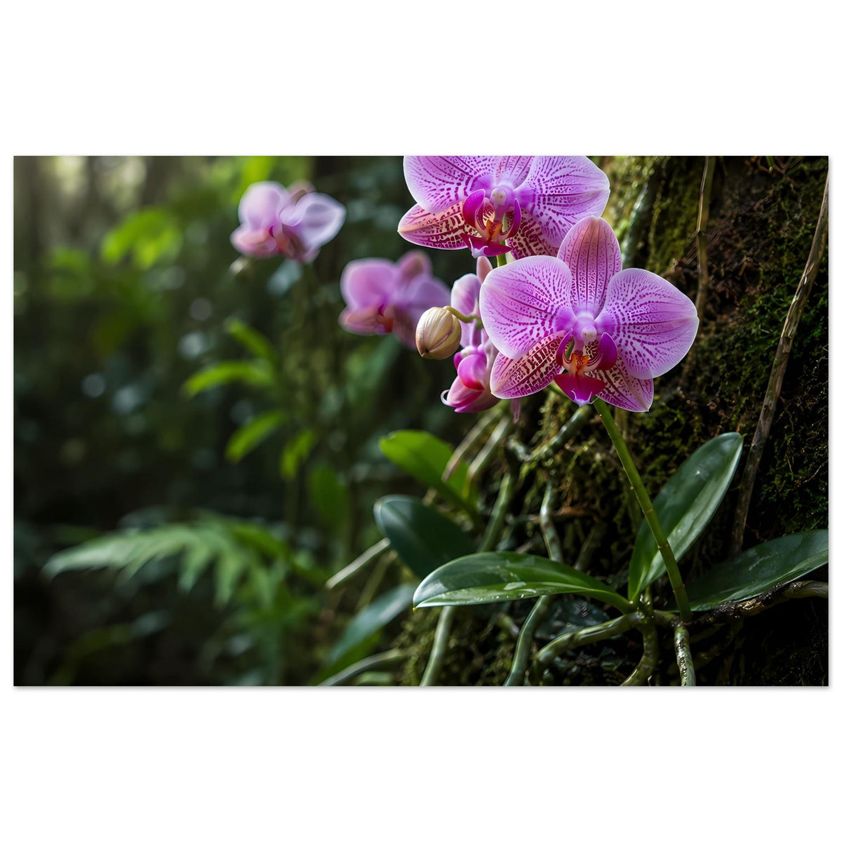 Botanisches Poster mit lila-pinken Orchideenblüten und grünen Blättern, Querformat