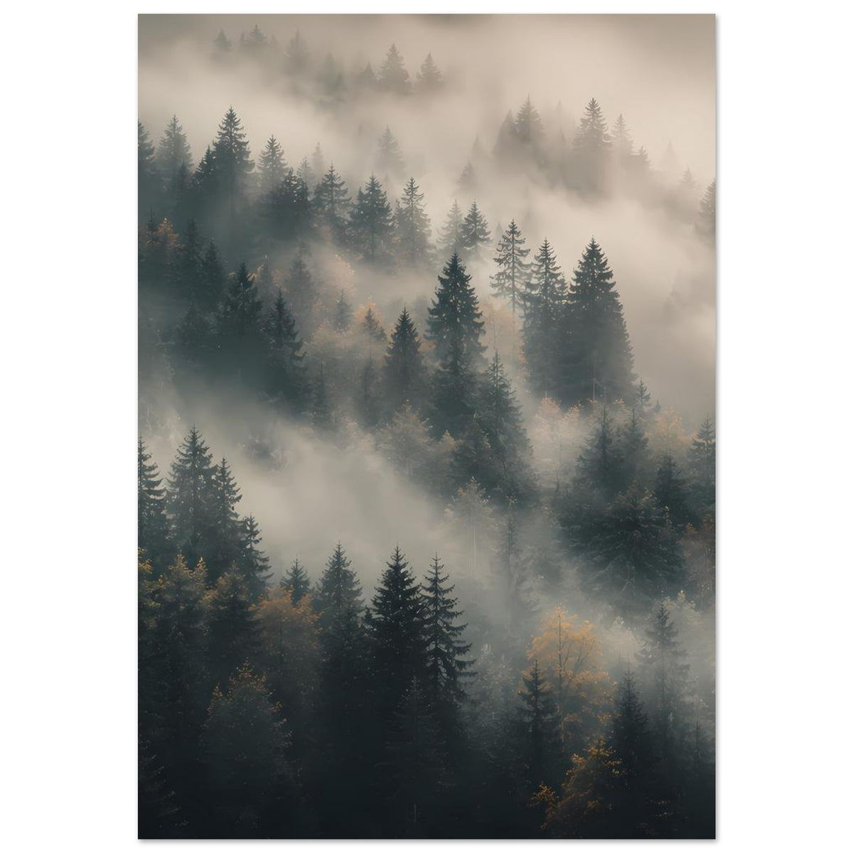 Poster mit Tannenwald im Nebel, einzelne Baumreihen in der Tiefe, ruhige Farbverläufe