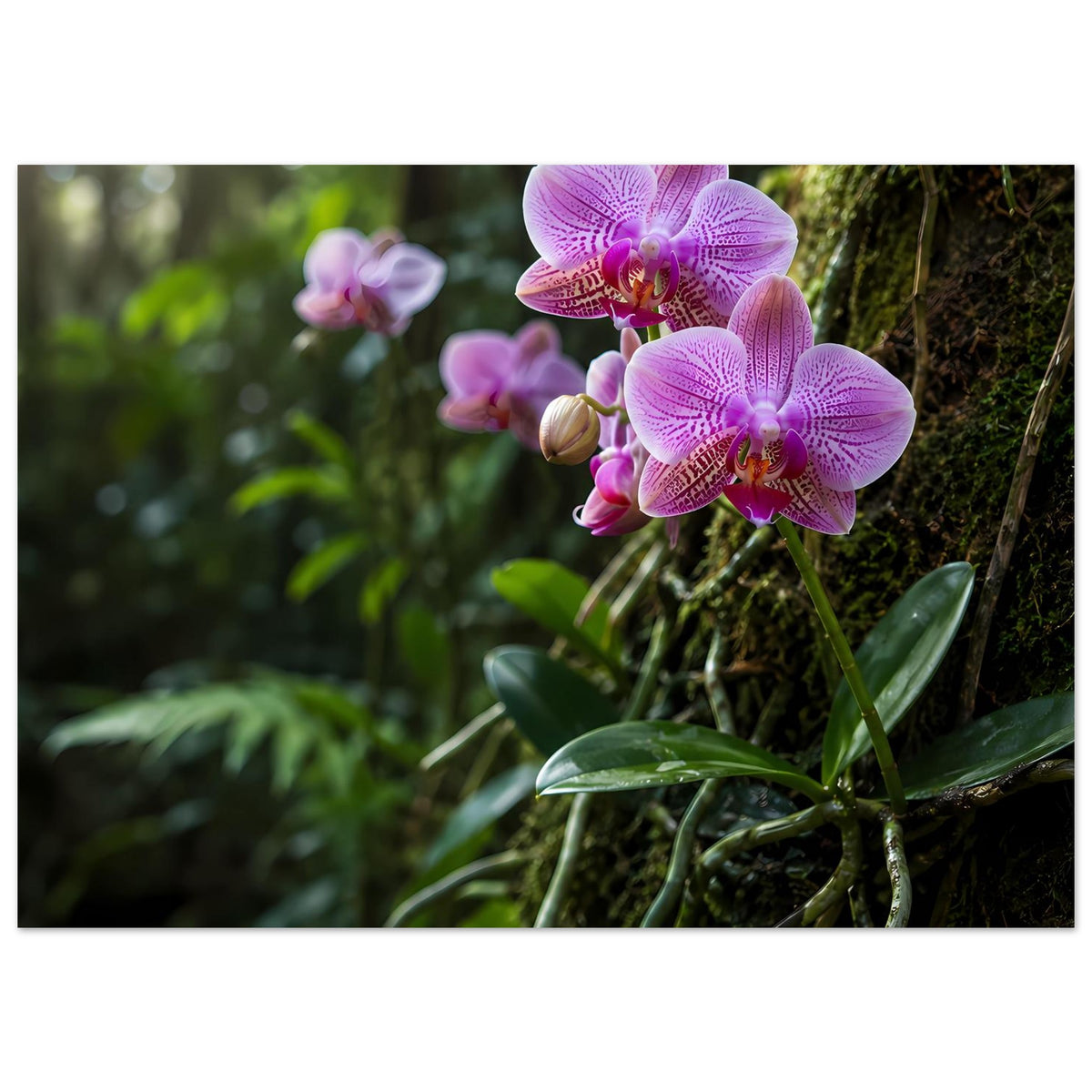 Botanisches Poster: violette Orchideenblüten mit grünen Blättern, seitlicher Ausschnitt