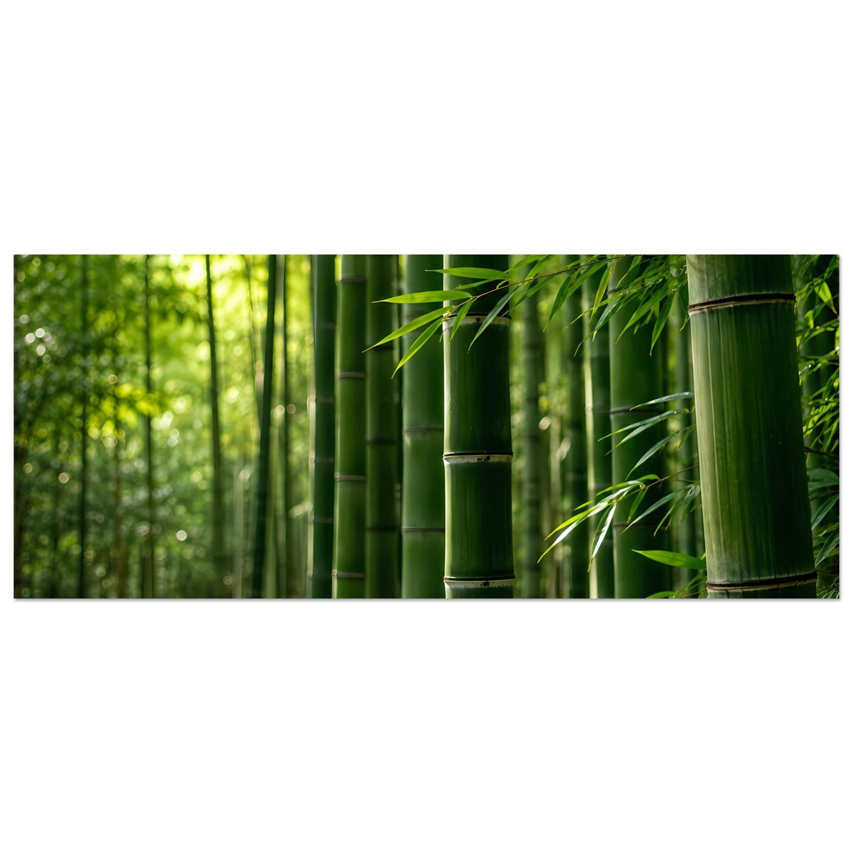 656417b9-4bf9-452f-b5f0-4ab39ba0e909