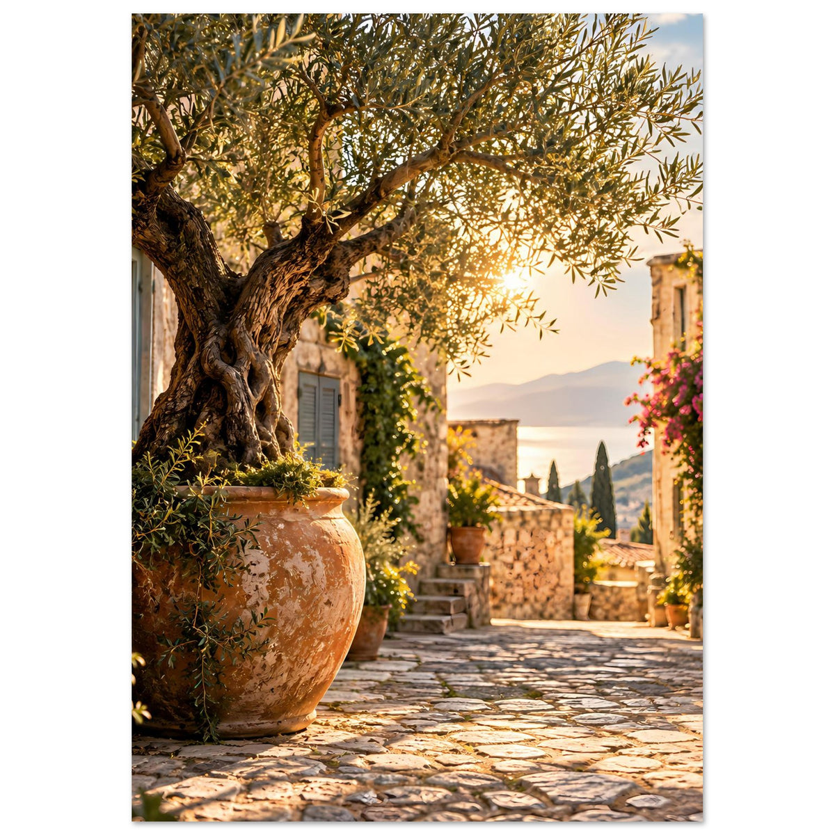 Mediterranes Poster: Olivenbaum, Terrakottatopf und Gasse im Abendlicht