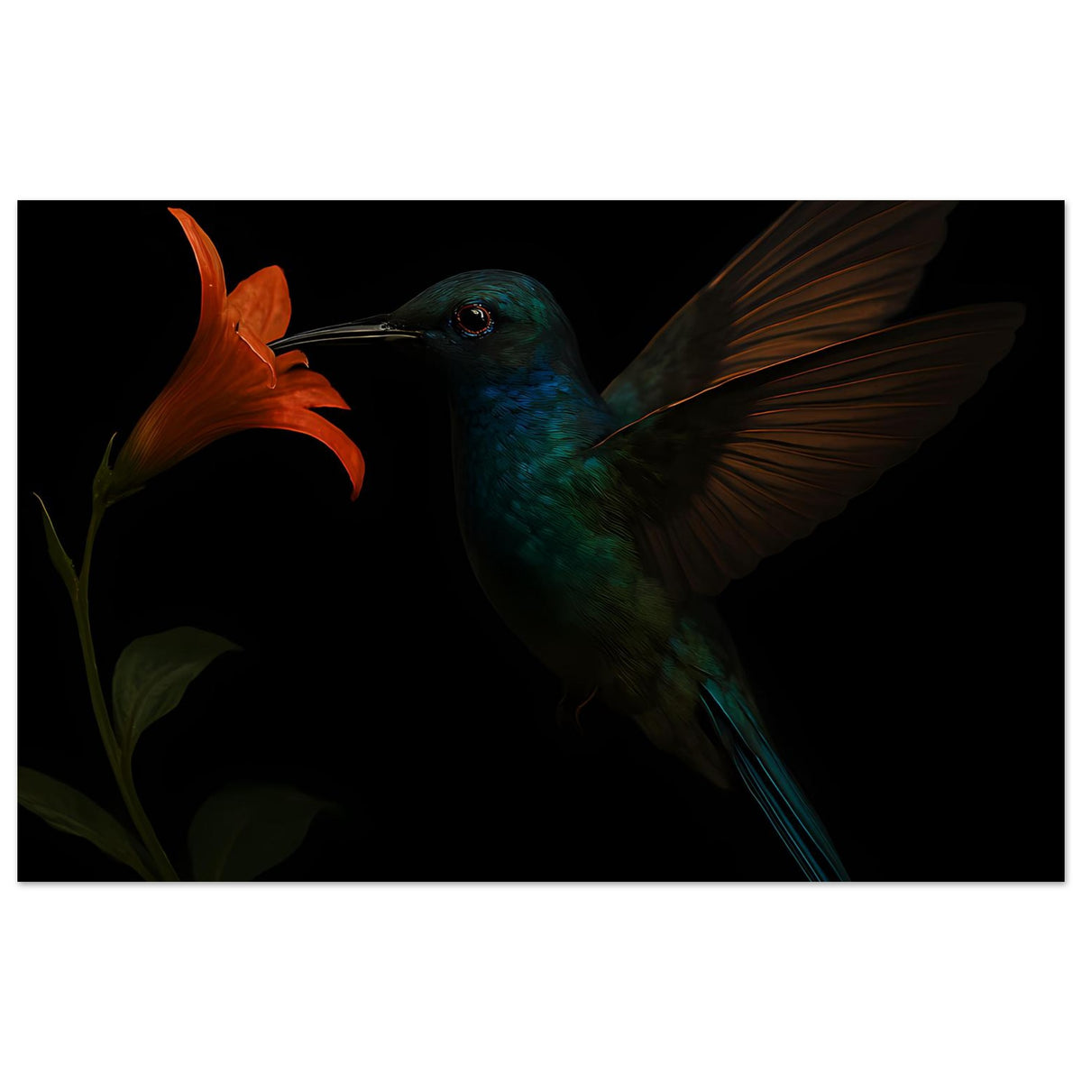 Breites Kunstplakat mit grünem Kolibri, langen Schwanzfedern und orangefarbener Blüte