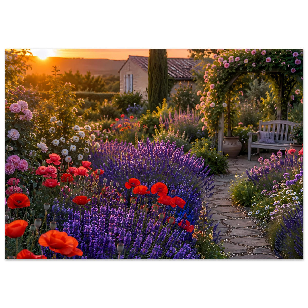 Gartenposter im Querformat: Lavendel- und Mohnbeete bei Sonnenuntergang, mit Gartenweg