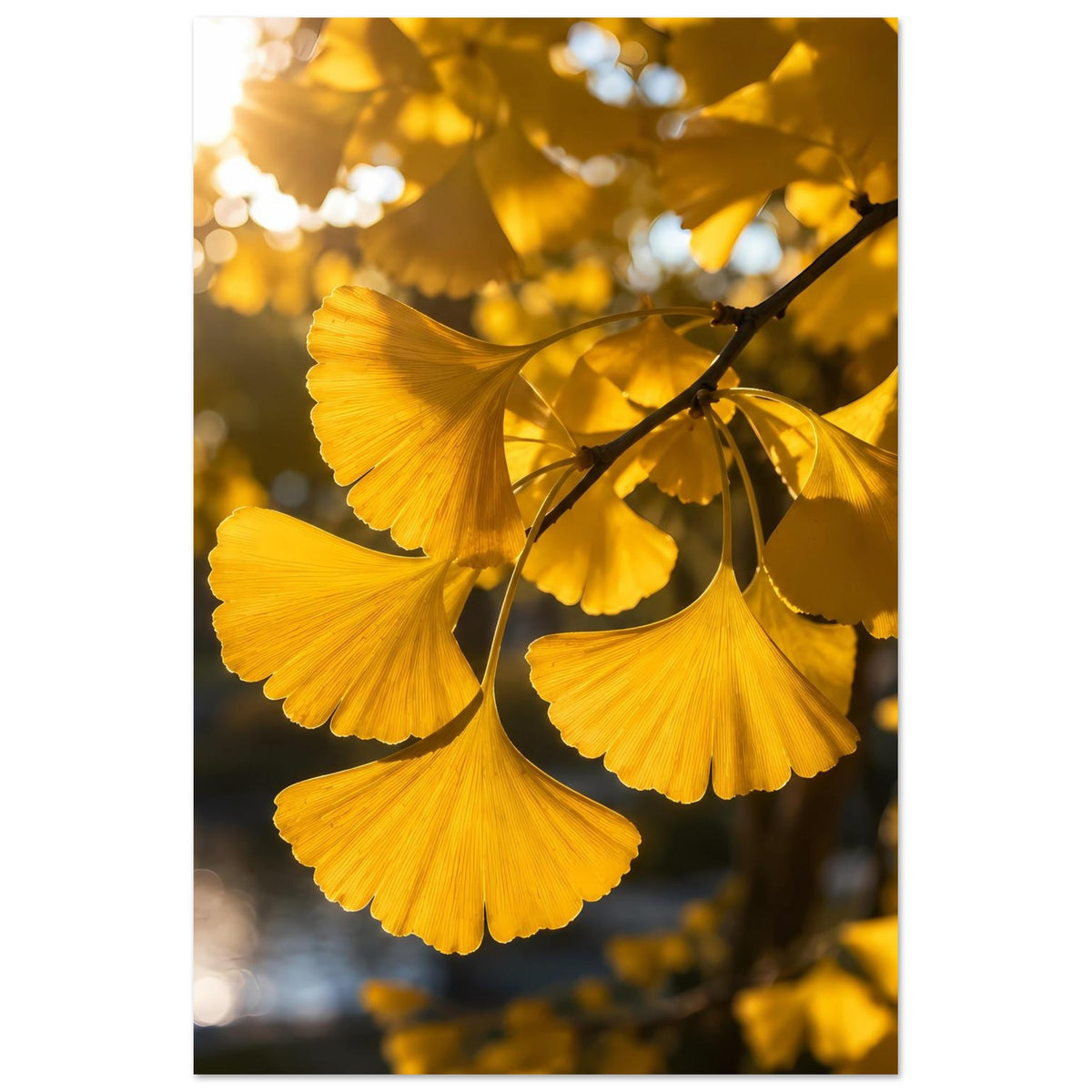 Botanisches Poster mit goldenen Fächerblättern und dunklem Zweig, dreifache Blattgruppe