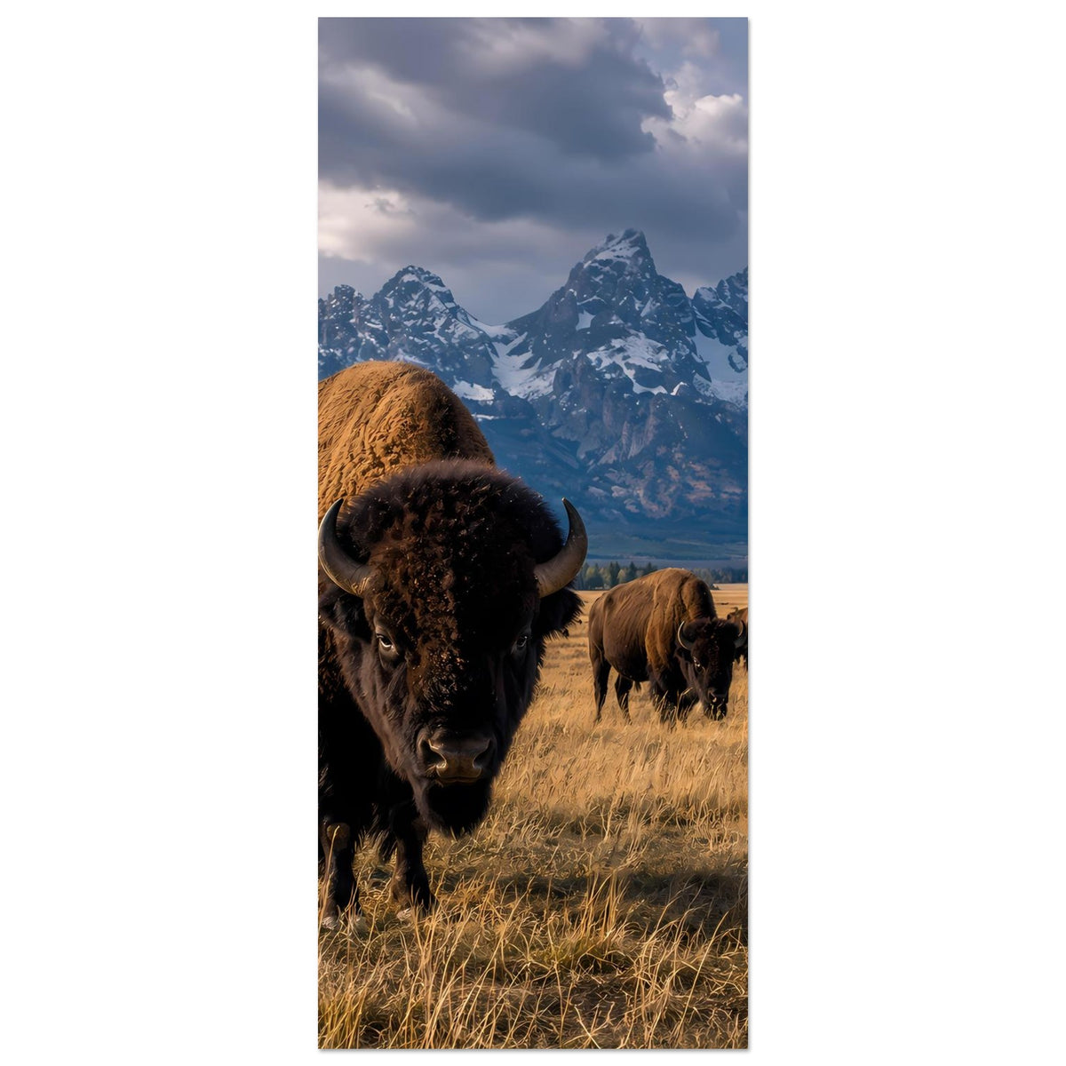 Poster im Hochformat: Vordergrundbison mit Hörnern, mehrere Büffel in der Herde