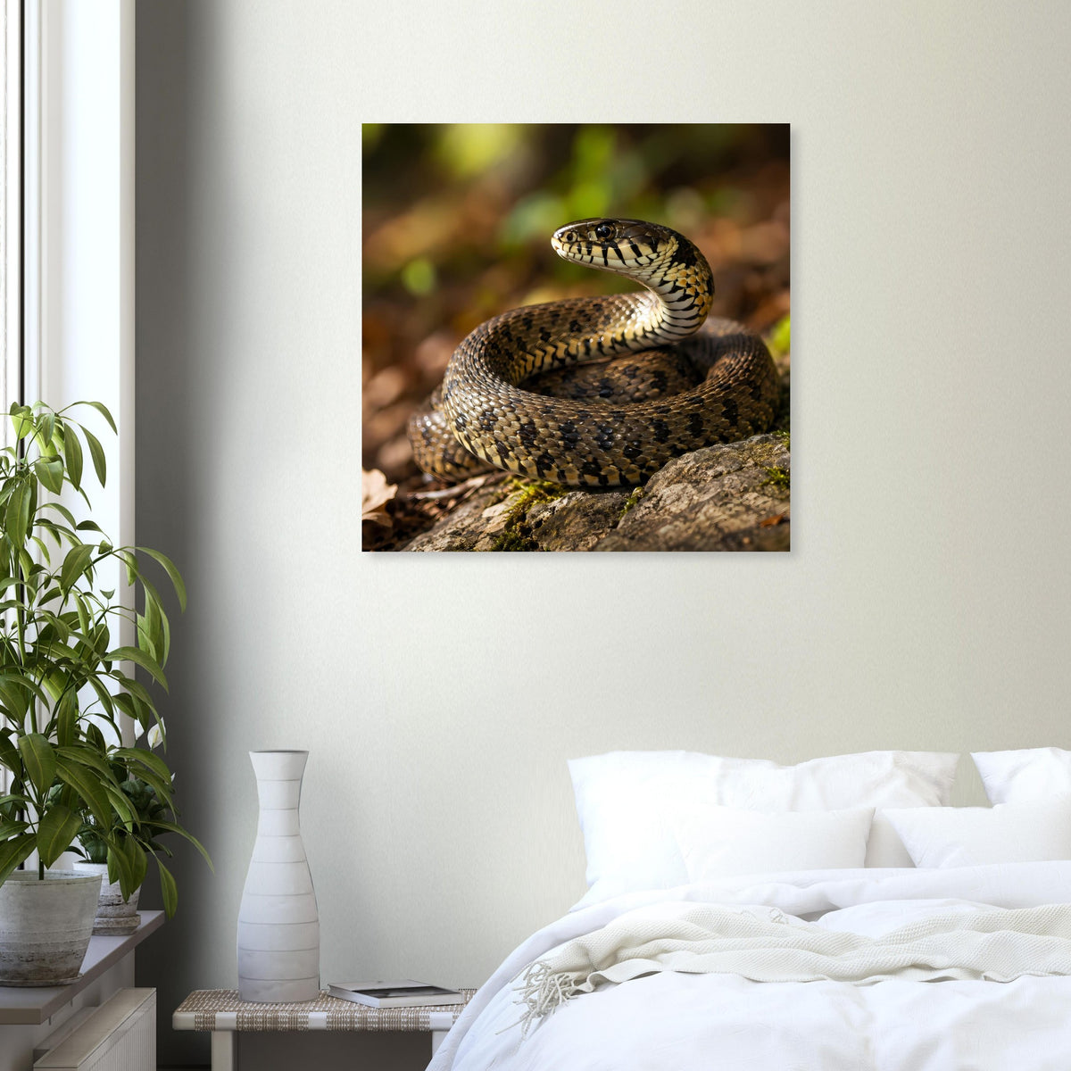 Quadratisches Poster mit gelb-schwarzer Schlange, eingerollt vor grünem Hintergrund