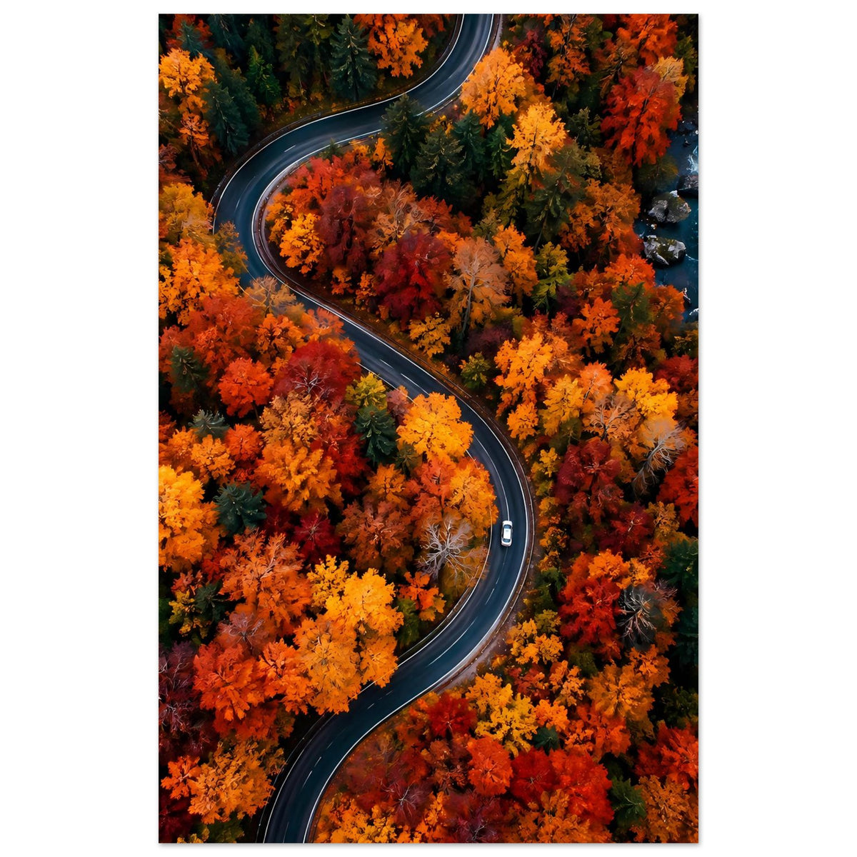 Hochformat-Poster mit kurviger Straße durch buntes Herbstlaub in Orange- und Gelbtönen