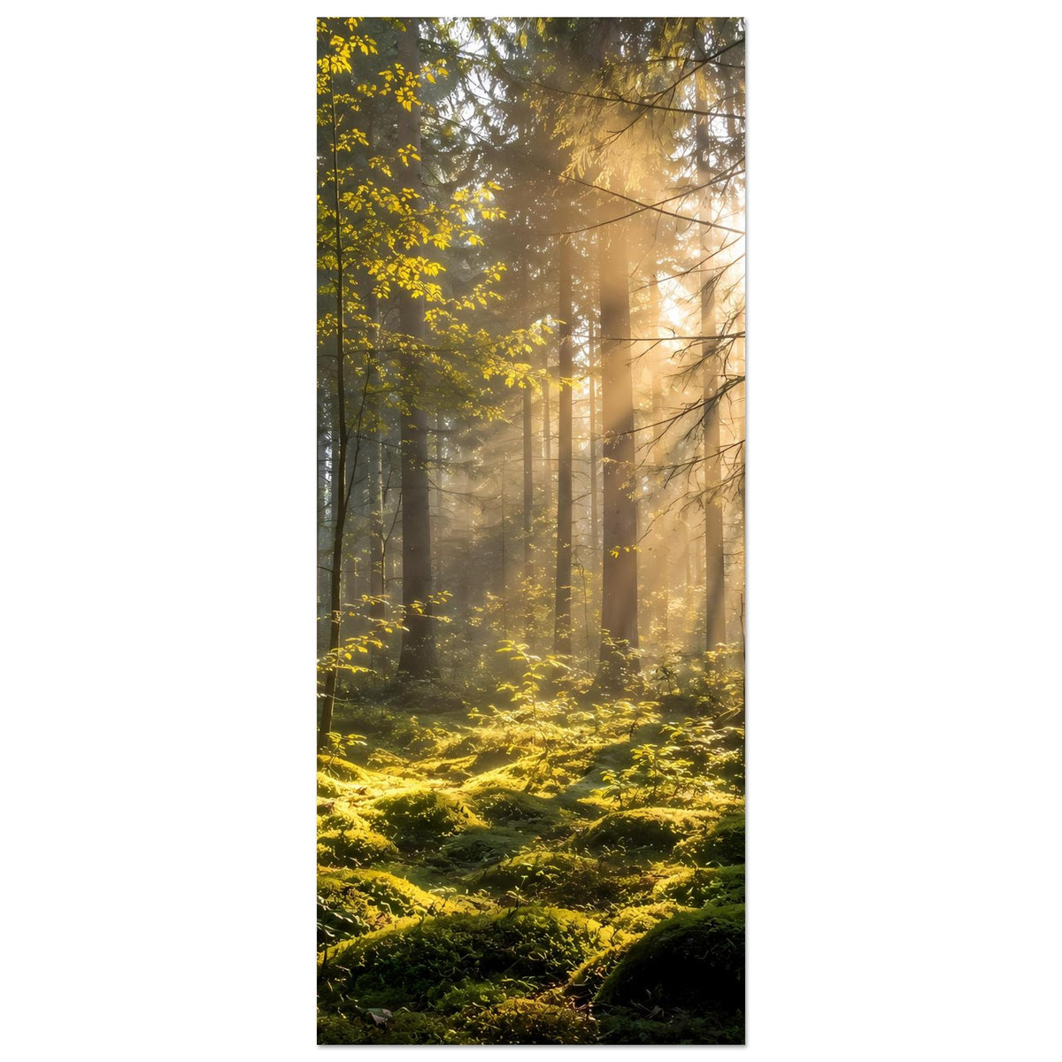 Vertikales Waldlandschafts-Poster: Sonnenstrahlen, Bäume und Moos im Morgennebel