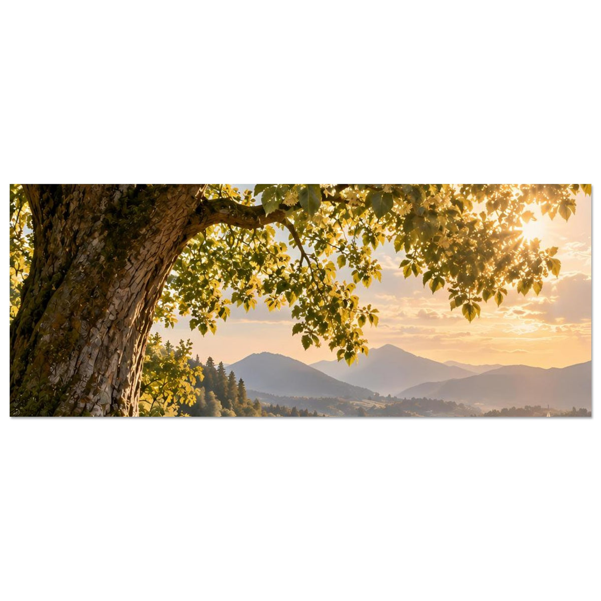 Naturposter, Panoramaausschnitt: Baumkrone, See mit goldenem Licht und Bergsilhouetten