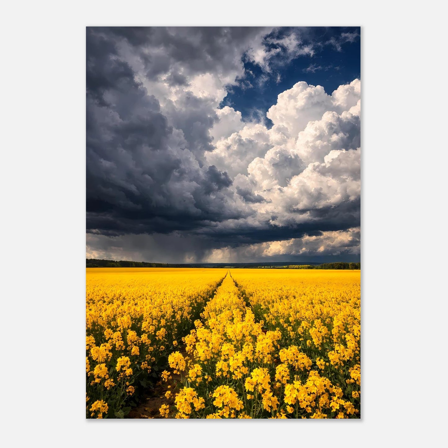 6b61fdff-496d-4e38-a75f-a50d64cc03bb