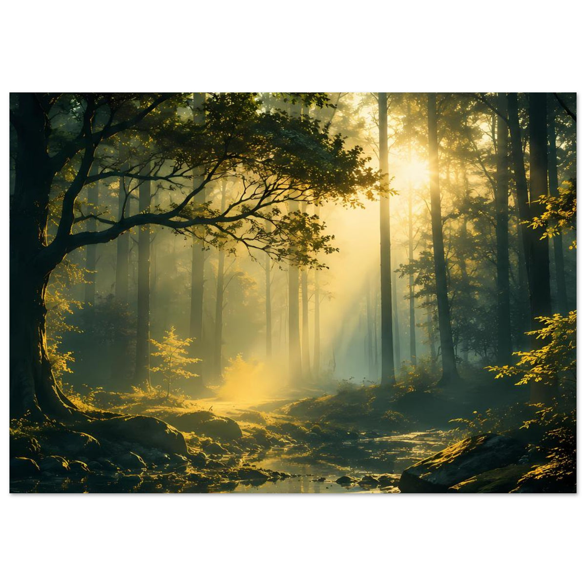 Horizontales Waldposter auf mattem Premium-Papier mit Sonnenstrahlen, Moos und Bach im Wald.