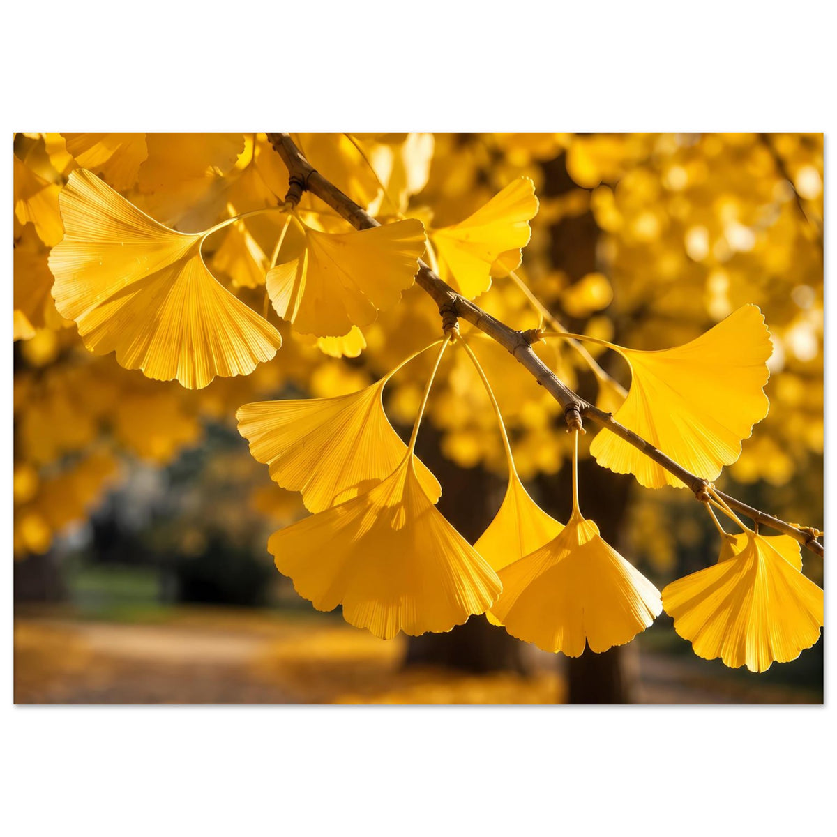 Herbstliches Ginkgoblätter-Poster: goldene Fächerblätter, Ast quer durch die Bildmitte