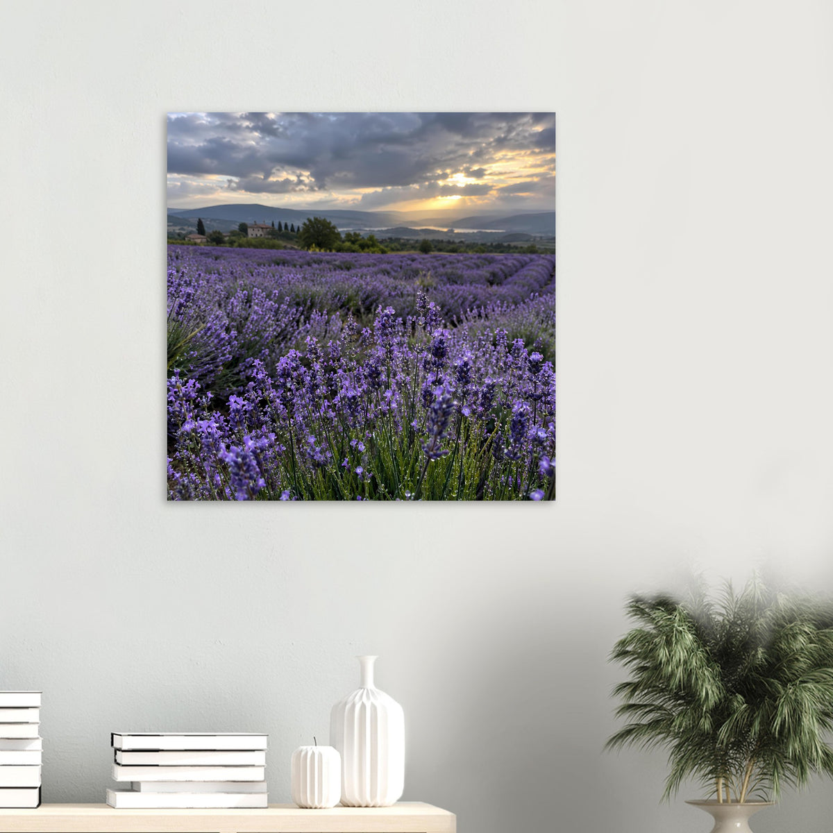 Quadratisches Poster mit Lavendelfeld, violette Blüten im Fokus und Sonnenuntergang im Hintergrund