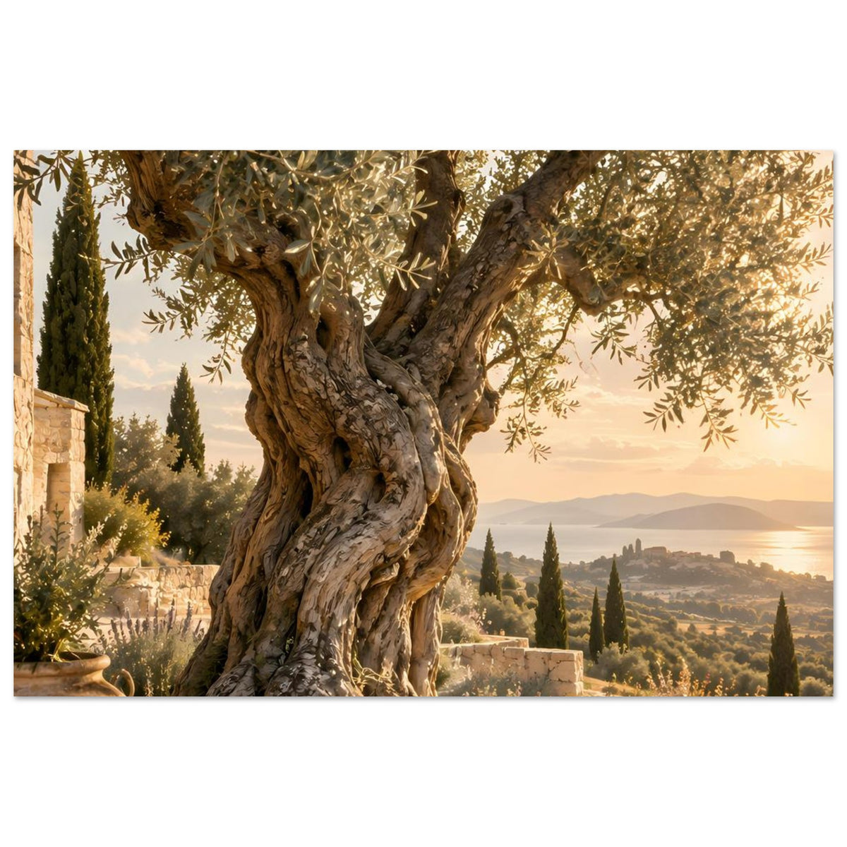 Poster mit Olivenbaum und mediterraner Küstenlandschaft, goldener Abendhimmel