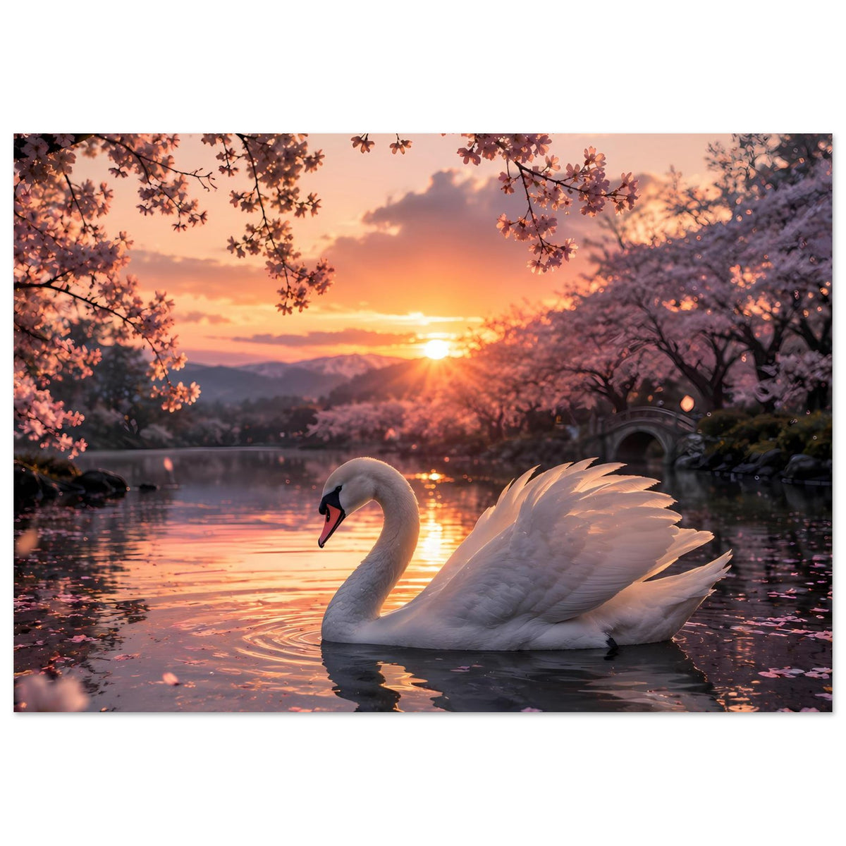 Poster mit weißem Schwan auf dunklem Wasser, orangefarbene Sonne und blühende Äste