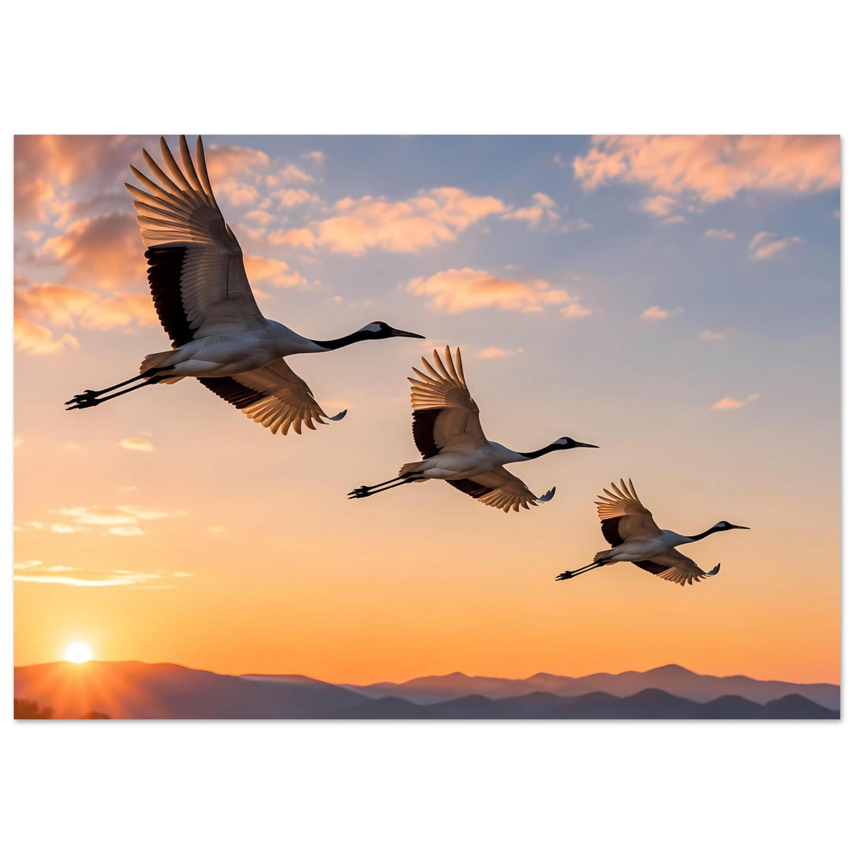 Poster mit drei Kranichen im Flug, Flügel ausgebreitet, links oben am größten
