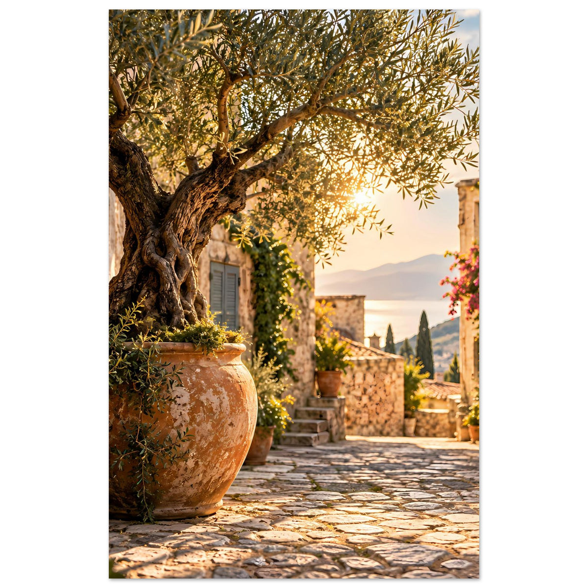 Mediterranes Zierposter: Olivenbaum über Terrakotta-Topf, mediterrane Gasse im Hintergrund
