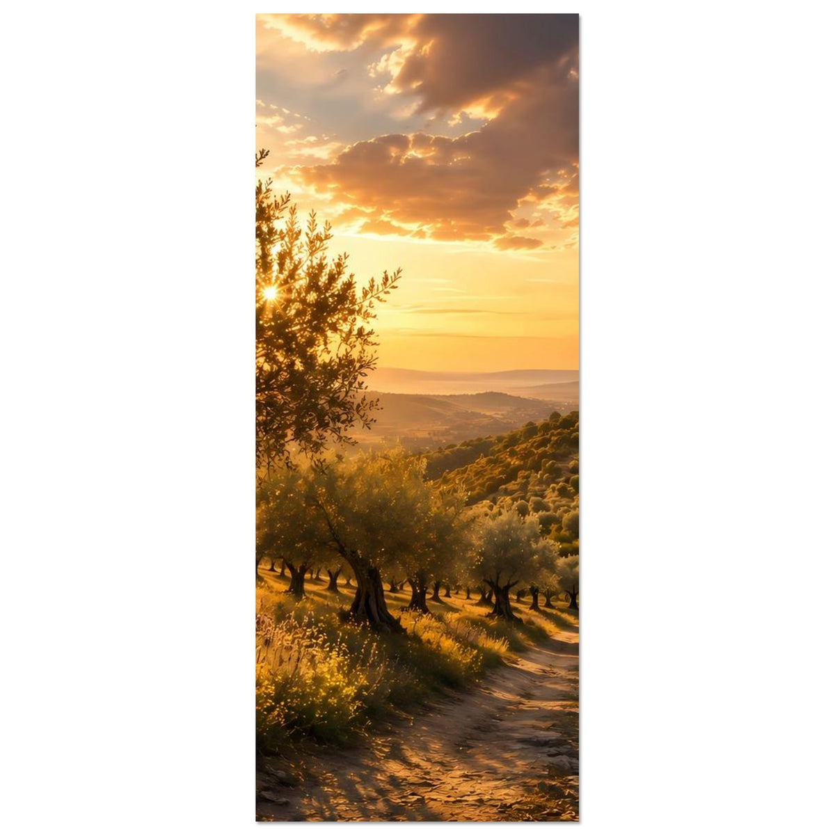 Schmales Vertikal-Poster mit Olivenbäumen, Feldweg und Sonnenuntergang über Hügeln