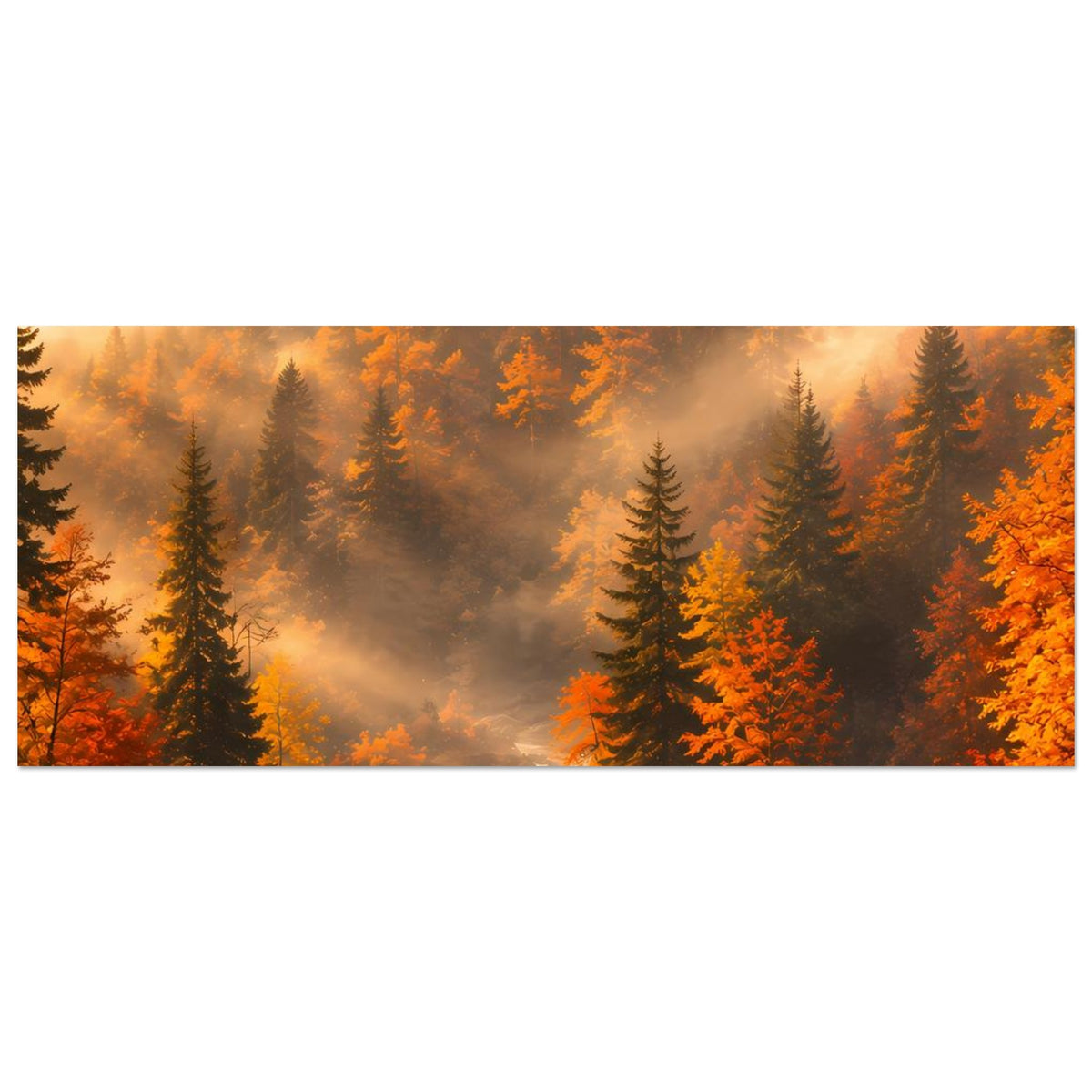 Breites Poster mit Herbstwald und Nebel; Tannen mit orangefarbenen Bereichen
