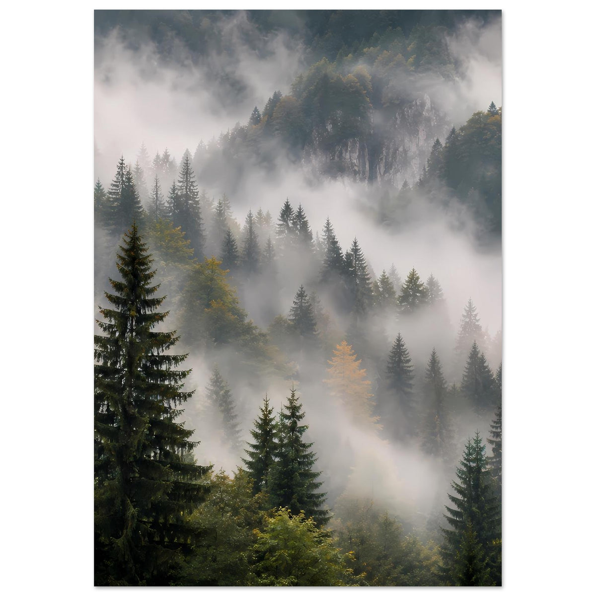 Wandposter Waldlandschaft mit Nebel und Tannen, Blick in tiefen Dunstschichten