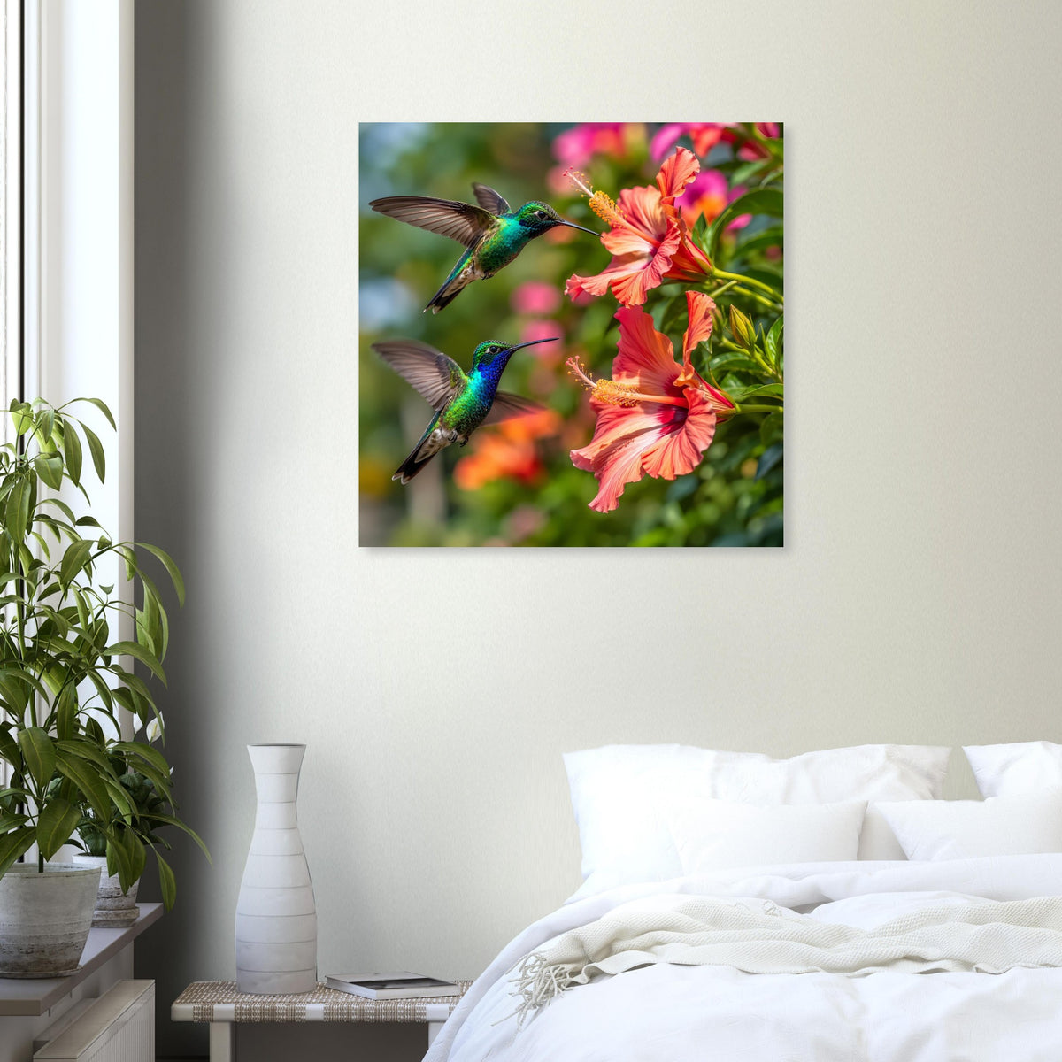 Quadratisches Poster mit zwei Kolibris vor Hibiskusblüten in Orange und Pink