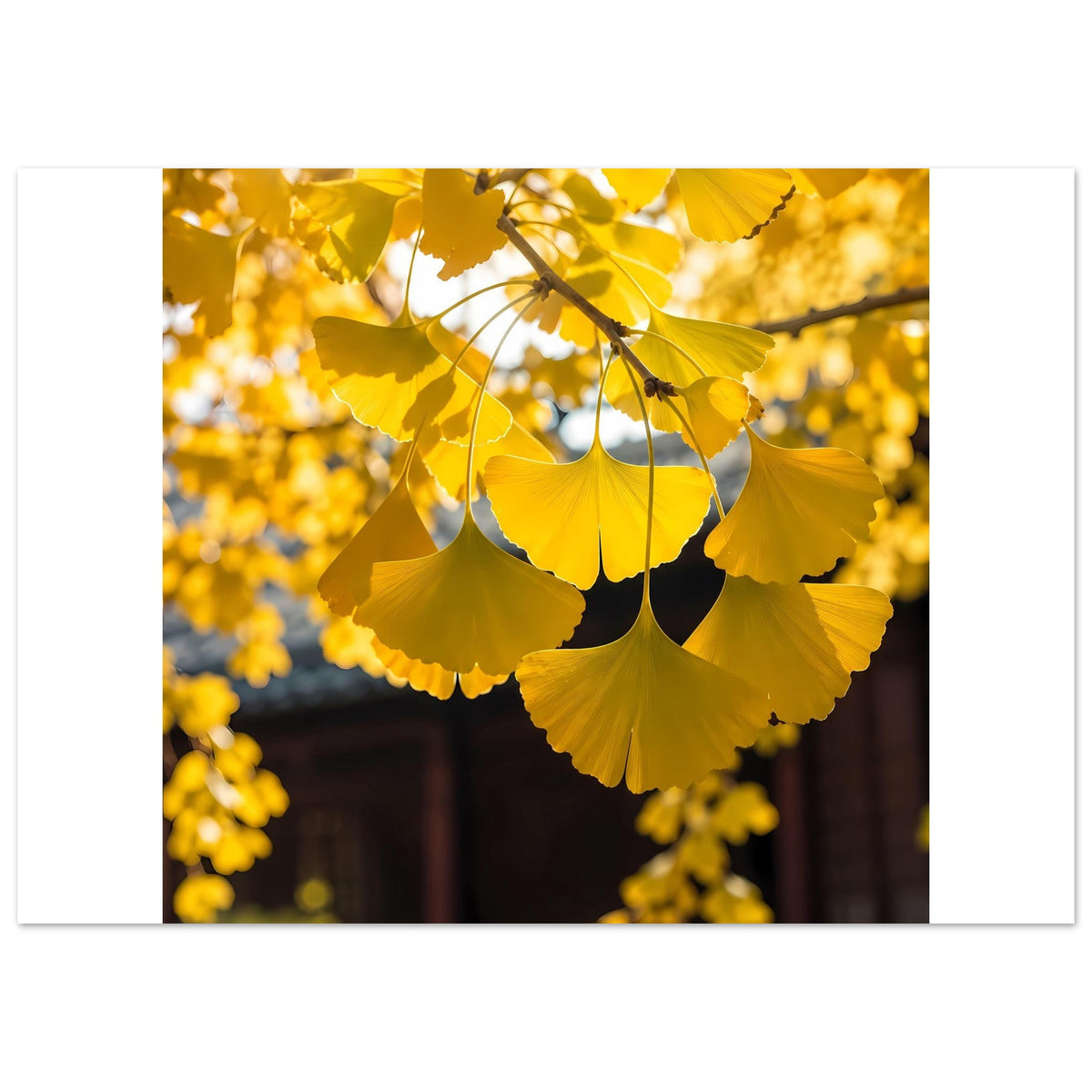 73f0aa8c-7f19-48f2-a111-ef32131c8574