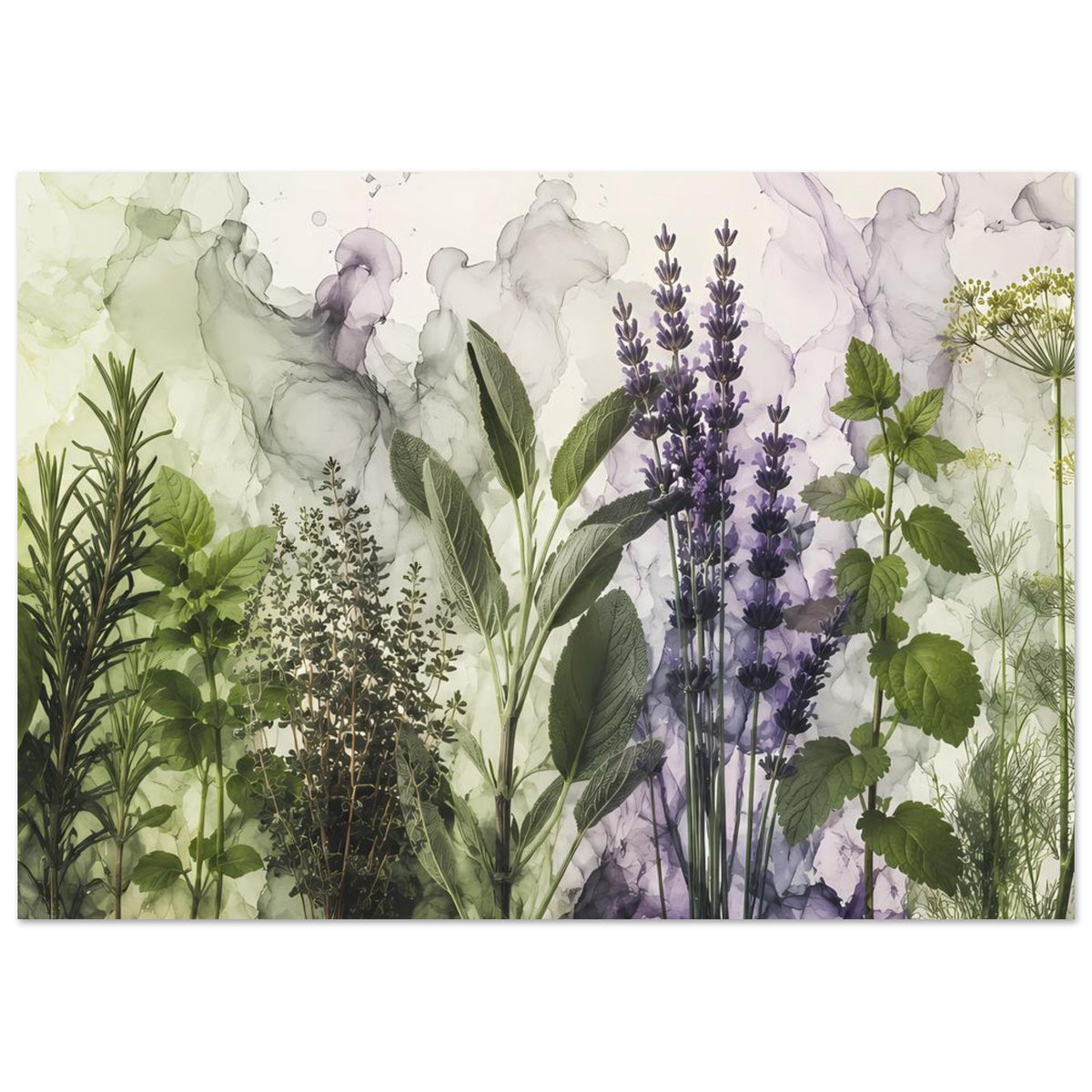 Botanisches Poster mit Lavendelblüten, Kräutertrieben und hellen Pflanzenkonturen