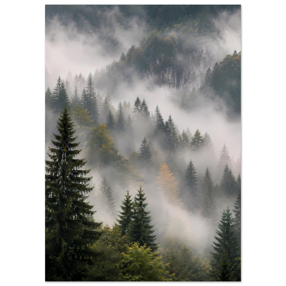 Poster im Hochformat: weicher Nebel im Wald, Tannenreihen und tiefes Tal