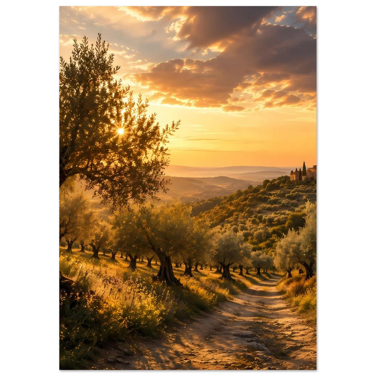 Poster mit Olivenhain, Feldweg im Vordergrund und Dorfkulisse im goldenen Licht