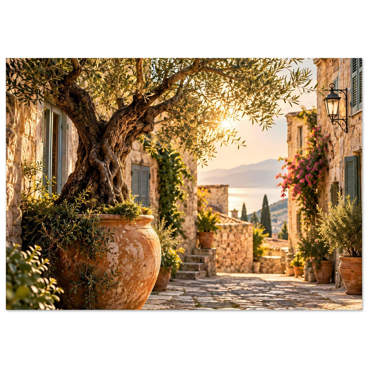 Mediterranes Fotoposter: Olivenbaum, Tongefäß und Laterne an mediterraner Gasse
