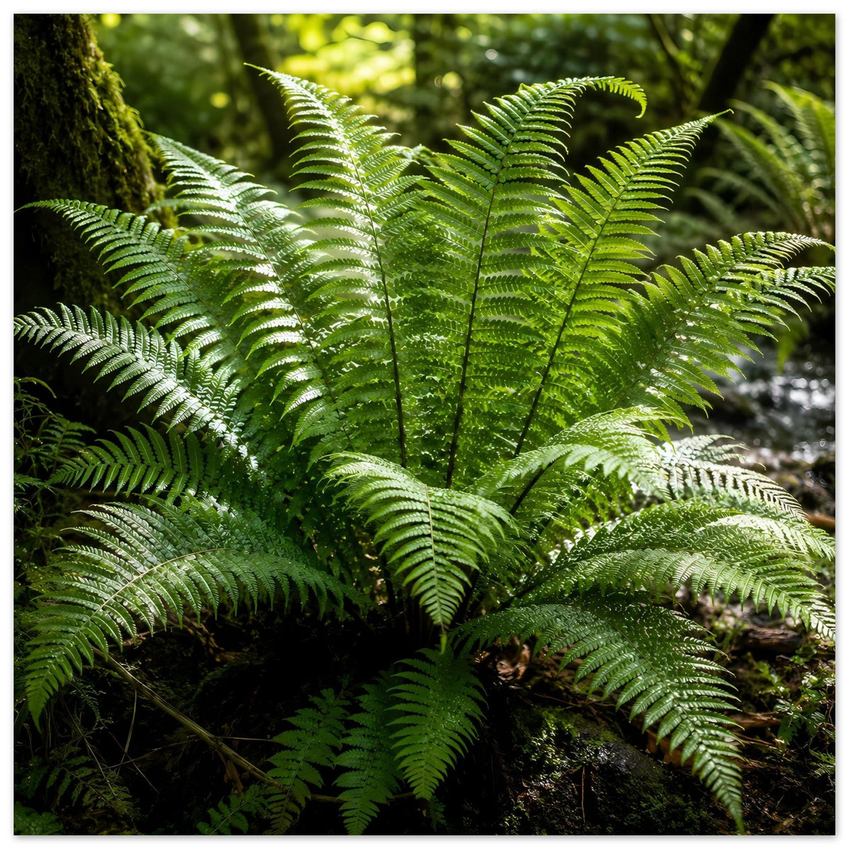 Botanisches Naturposter mit grünen Farnwedeln und feinem Blattader-Muster im Fokus