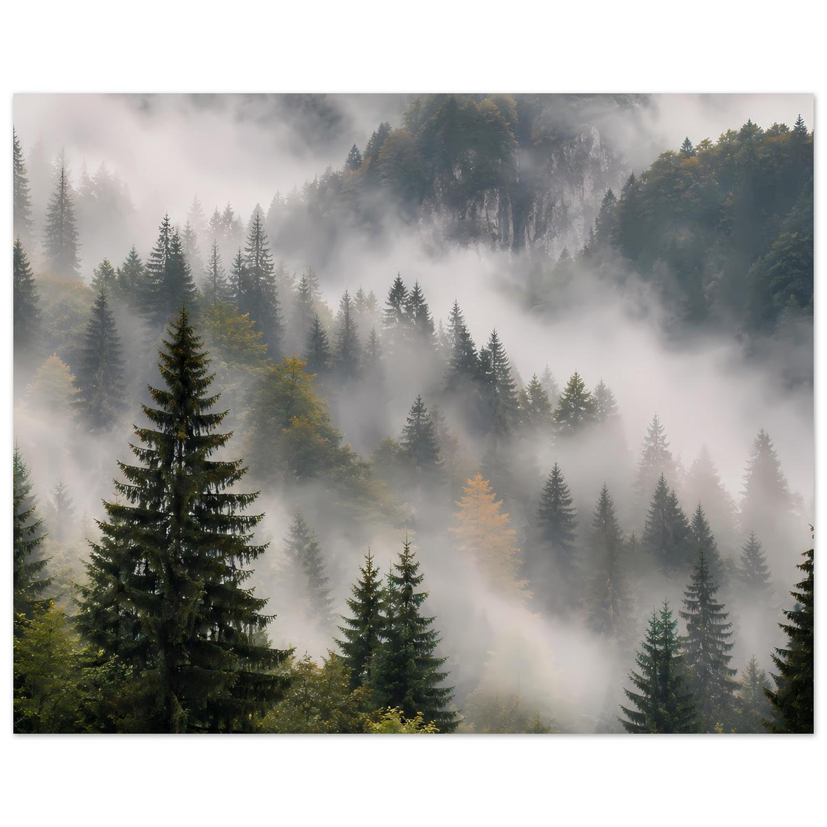Waldposter mit nebligem Tal, Tannenreihen und dunklen Bergkonturen
