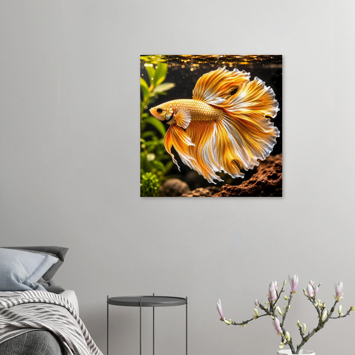 Deko-Poster im Raum: goldener Kampffisch mit weit geöffneten Flossen