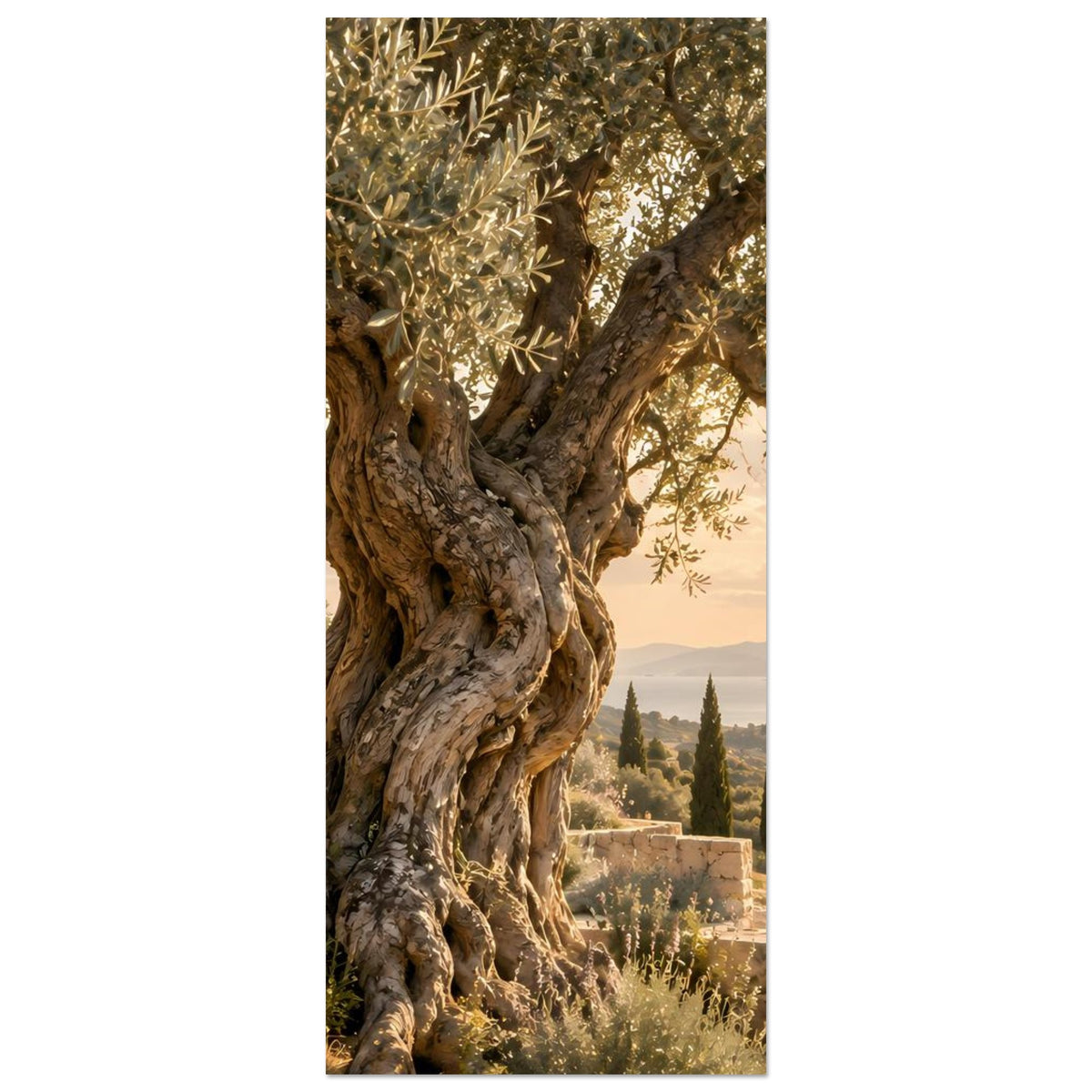 Vertikales Olivenbaum-Poster mit knorrigem Stamm und Olivenzweigen