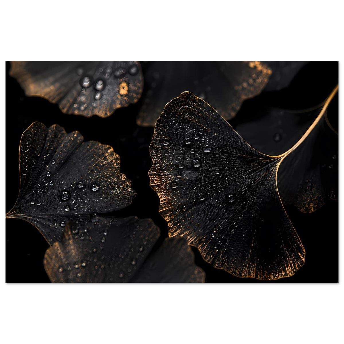 Ginkgo-Blatt Poster, dunkle Ginkgoblätter mit Wassertropfen und goldenem Akzent, Querformat