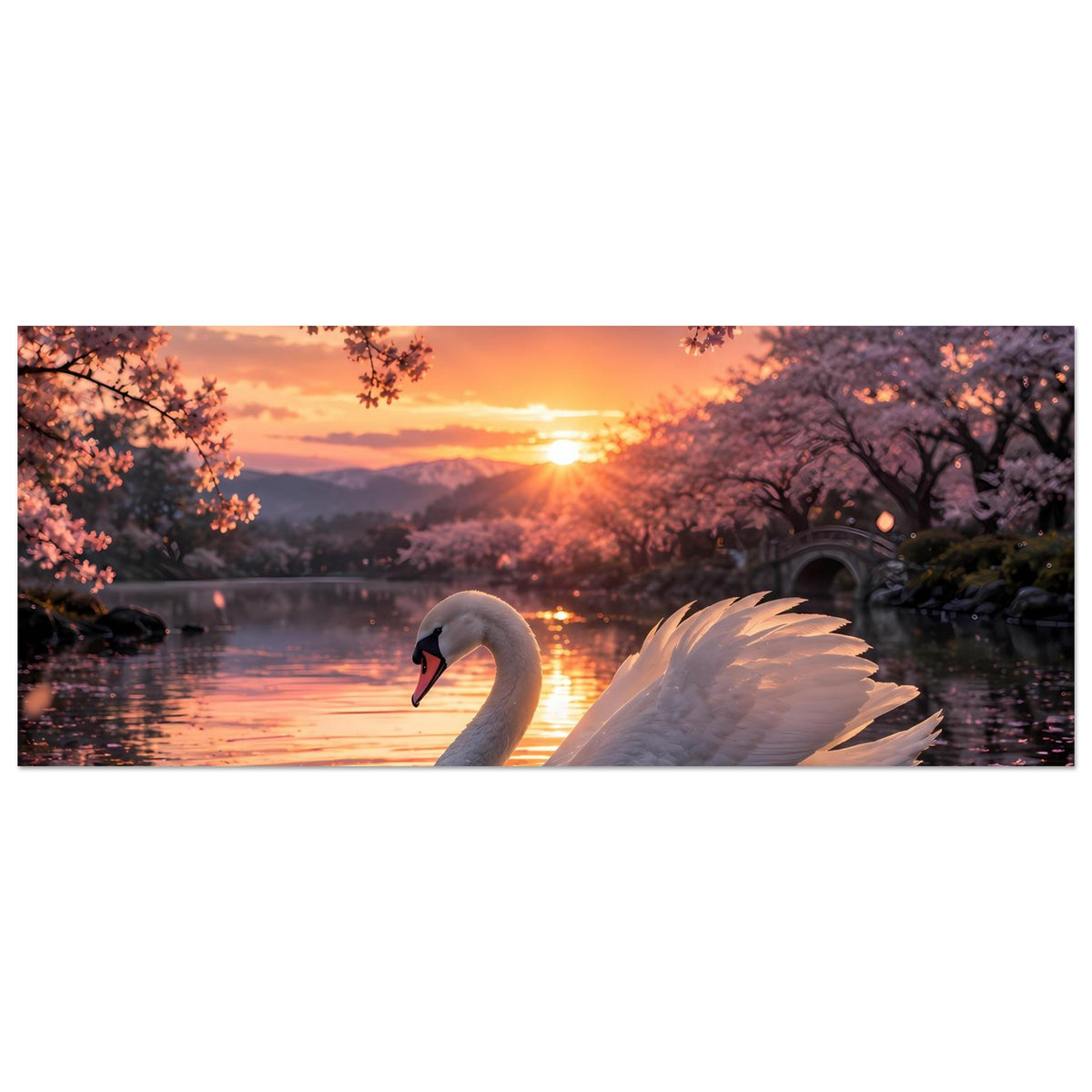 Poster im Querformat: weißer Schwan am Seeufer, Sonnenaufgangslicht und blühende Zweige