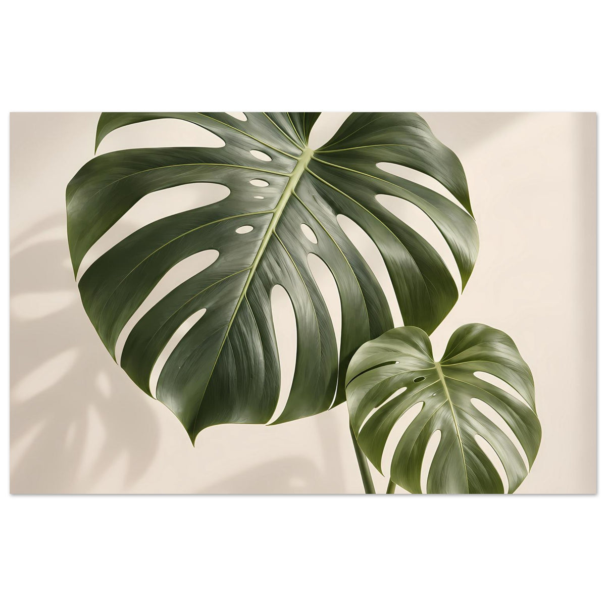 Monstera-Blattposter: große grüne Blattdarstellung links, kleinere Monstera rechts unten